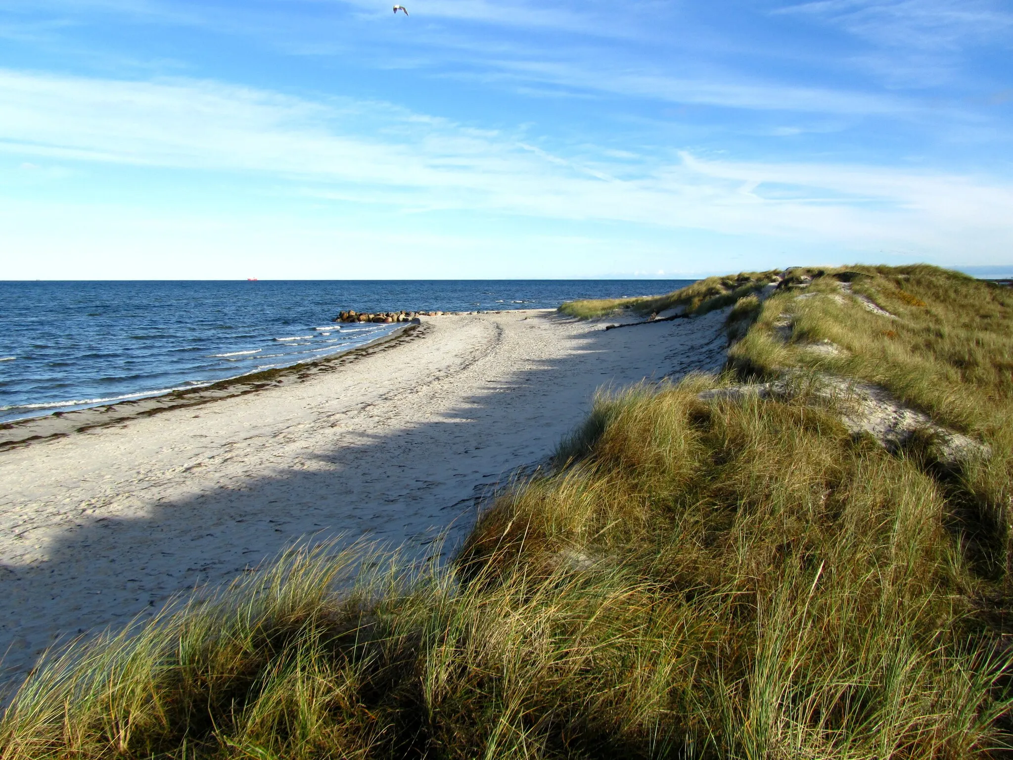 Photo showing: Dünen bei Wendtorf