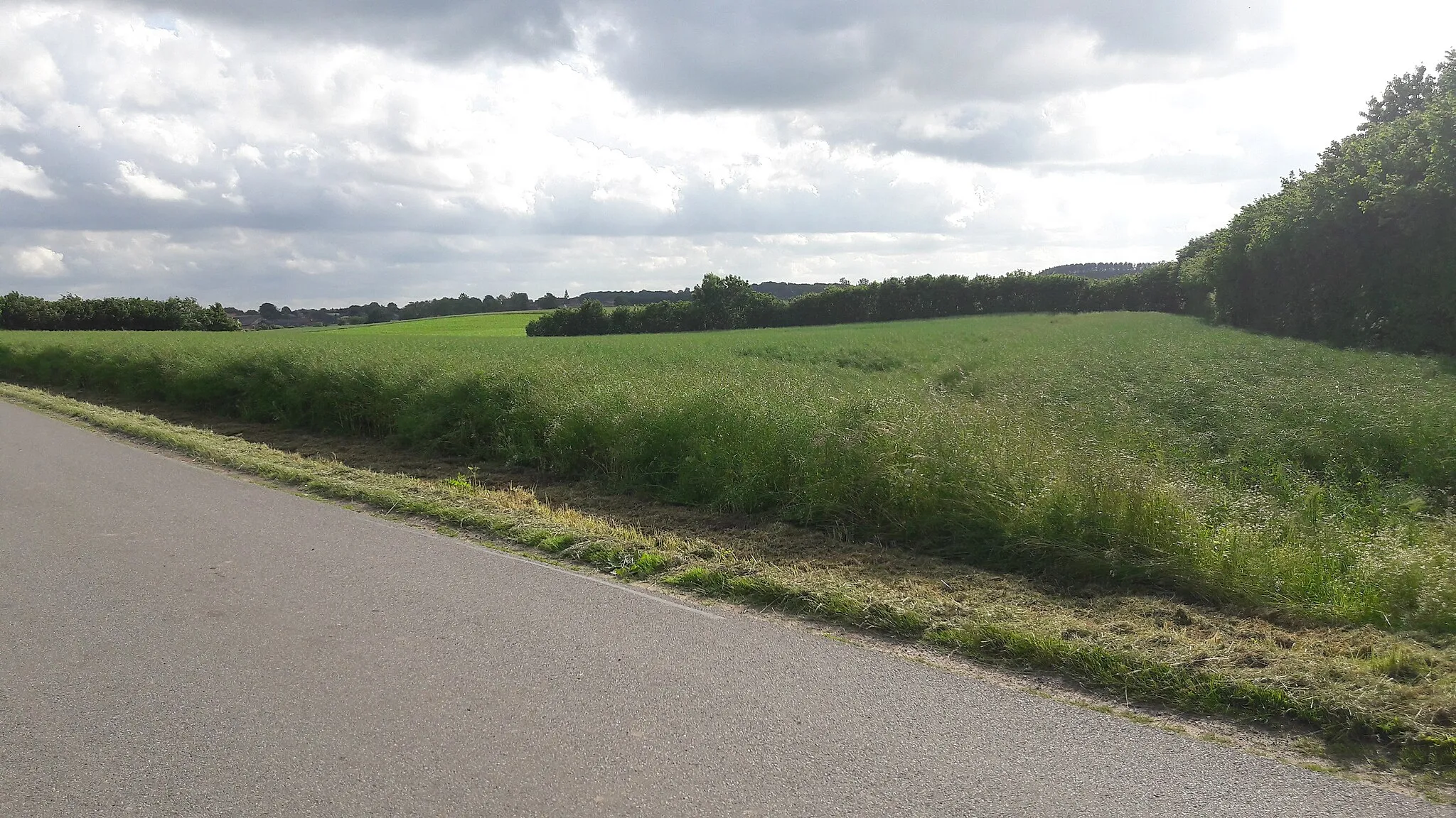 Photo showing: Straße von Grevenkrug nach Sören