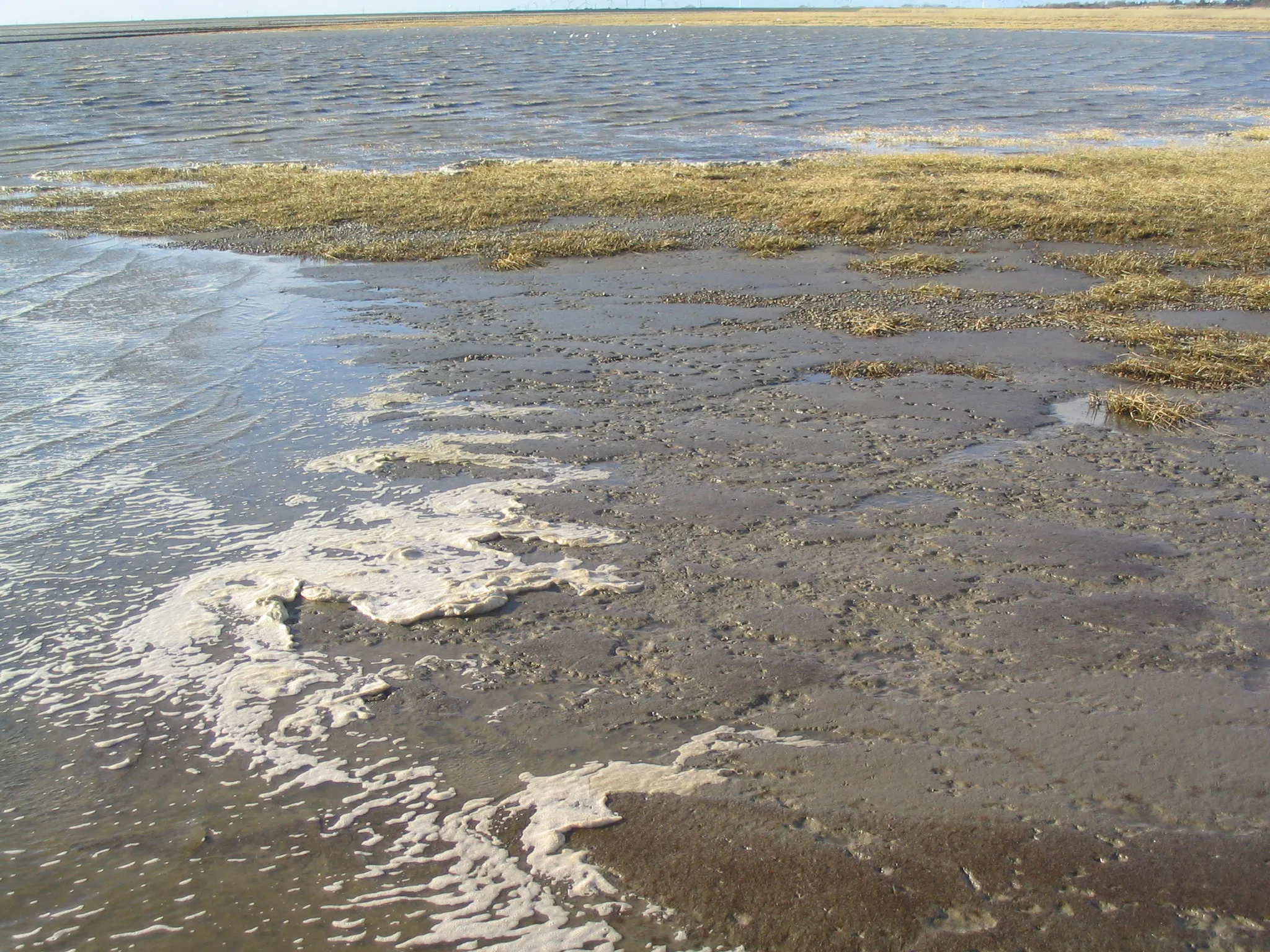 Photo showing: Rising Tide, Schobüll, Nordfriesland