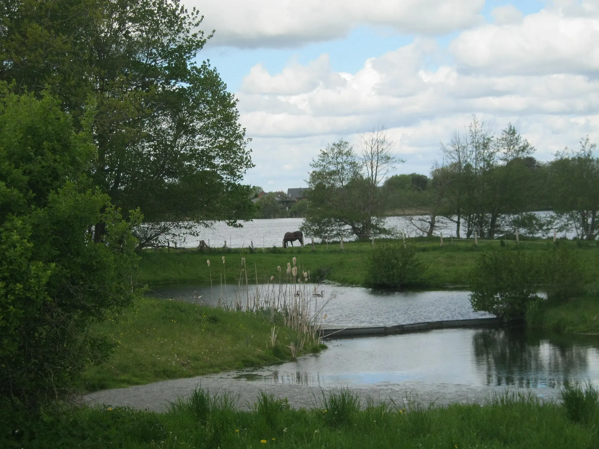 Photo showing: Schülldorfer See, davor ein Regenrückhaltebecken