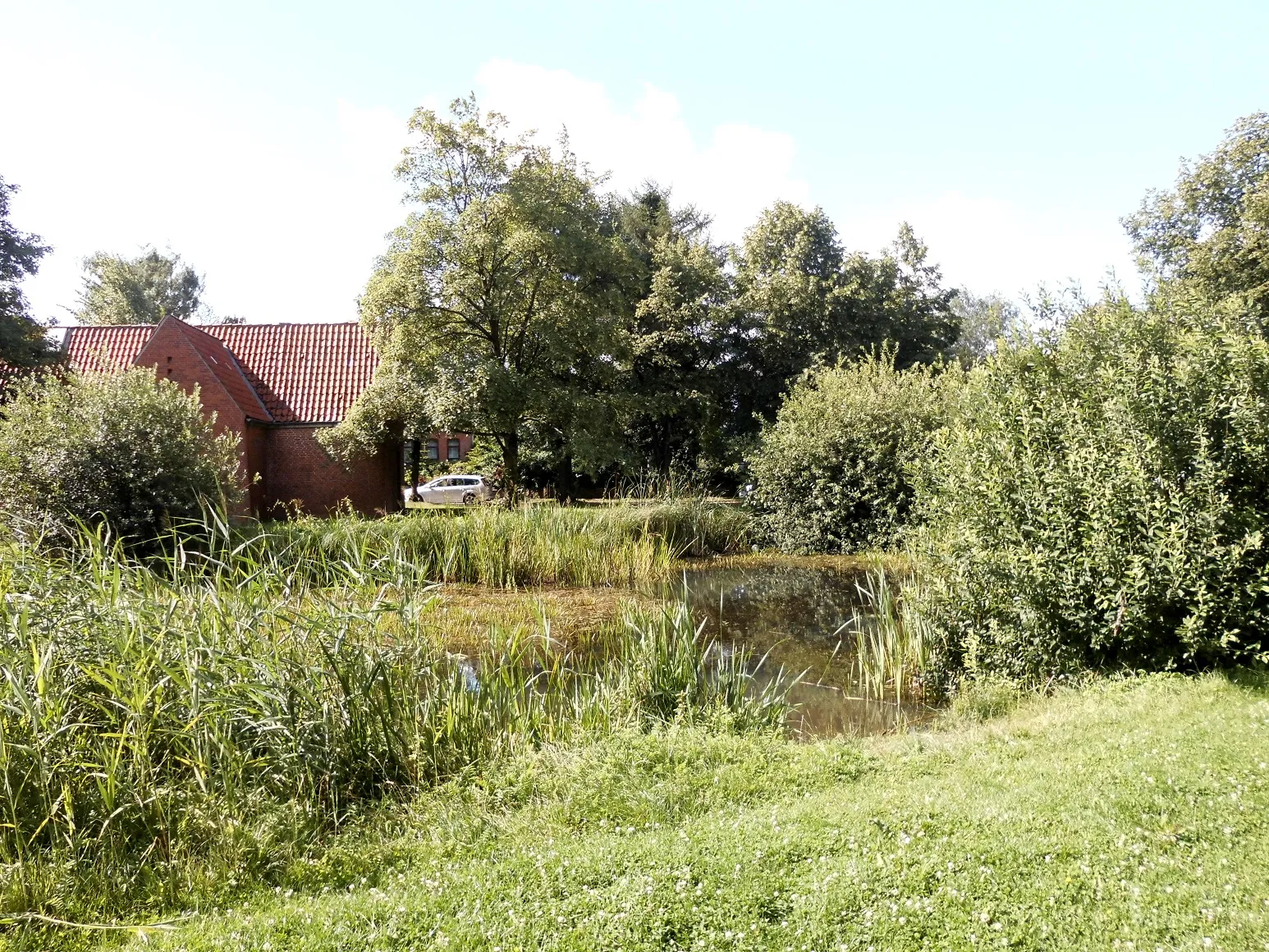 Photo showing: Westlicher Teich auf dem Dorfanger im Kieler Stadtteil Meimersdorf