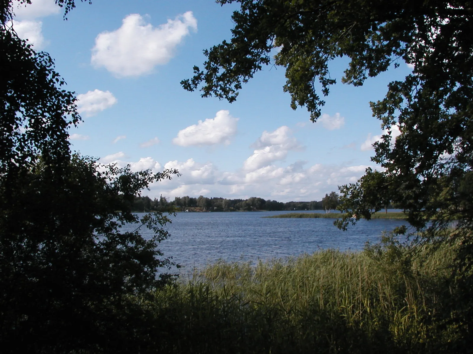 Photo showing: Der Brahmsee in Schleswig-Holsetin, vom Ostufer aus gesehen