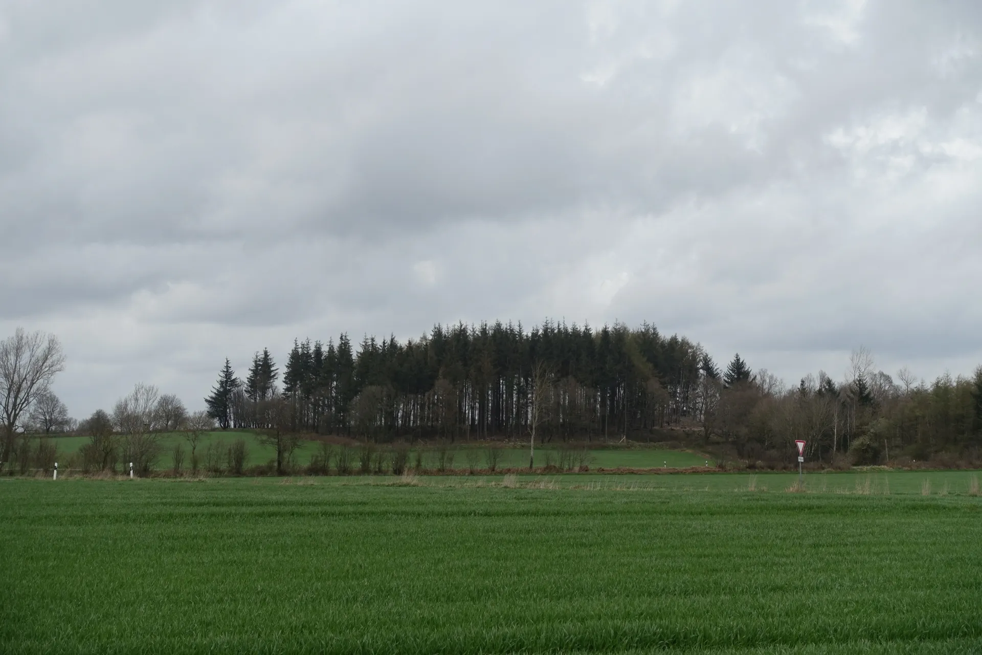 Photo showing: Sandesberg near Ostenfeld (Husum), April 2016.