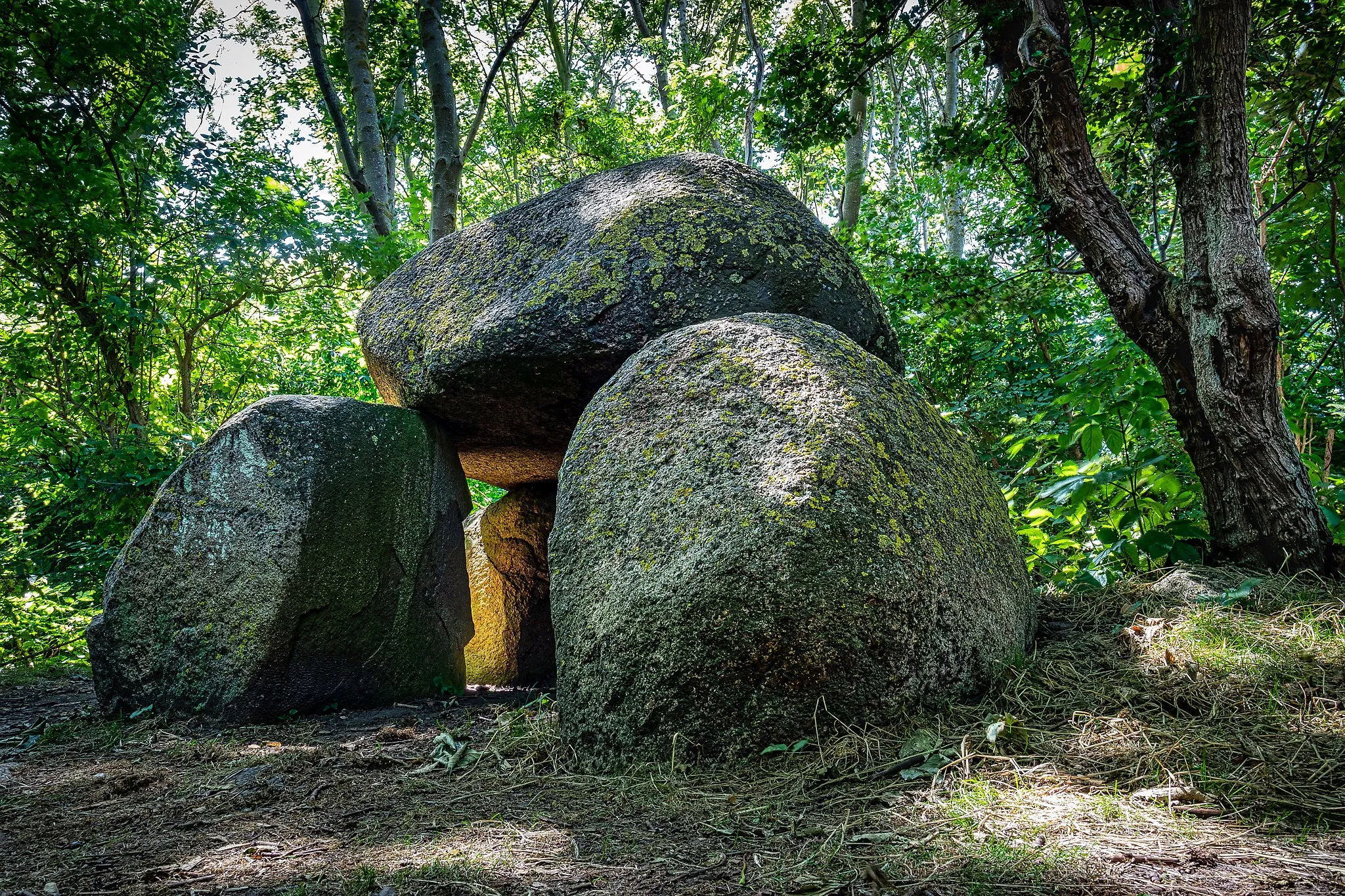 Photo showing: Megalith site Alversteen, Fehmarn, Germany