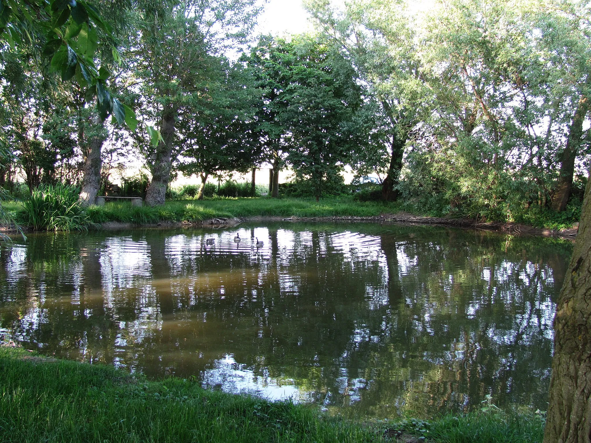 Photo showing: Pond "Kriegssoll", Landkirchen, Fehmarn