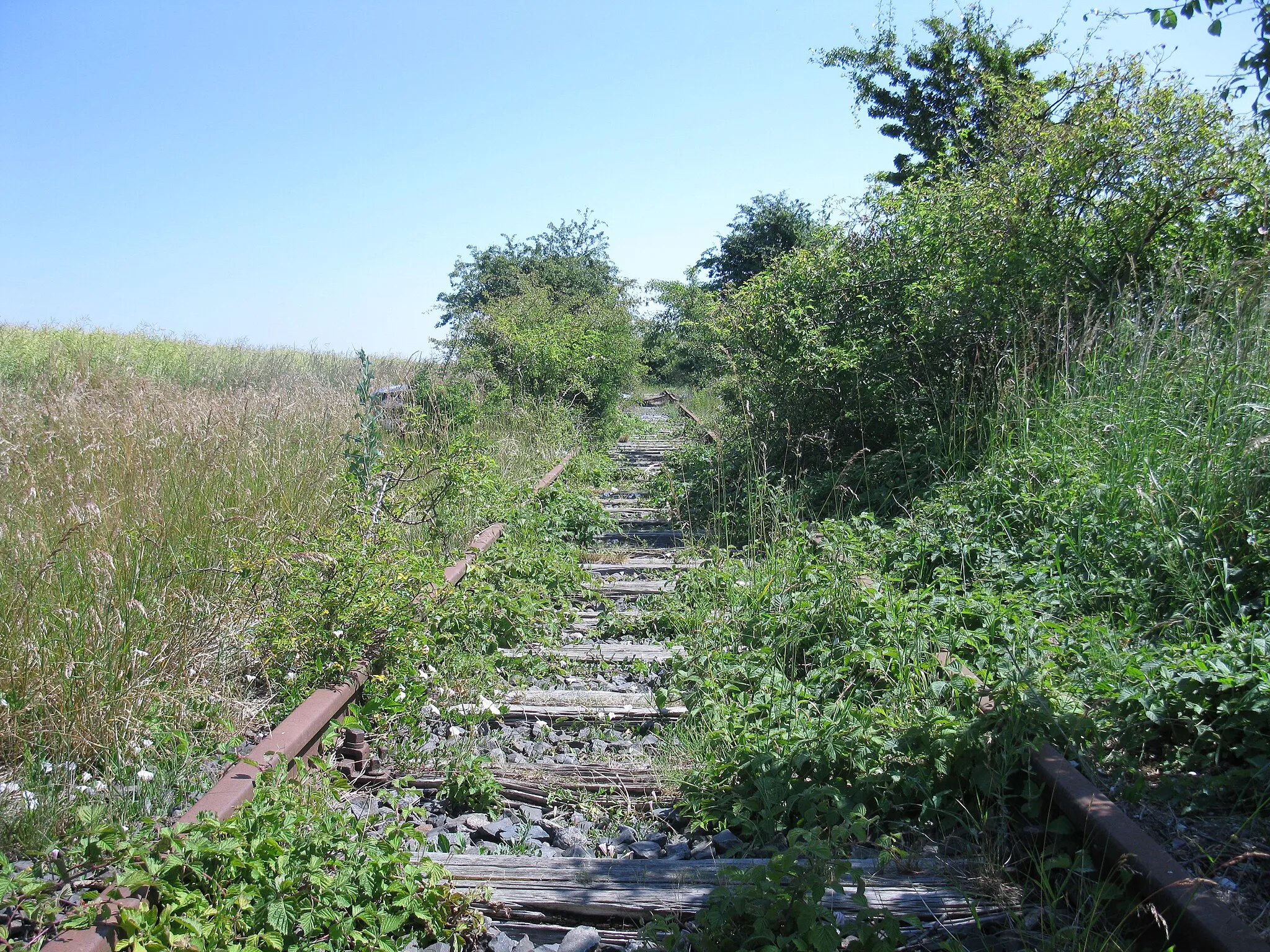 Photo showing: Abandoned railway track near Landkirchen, Fehmarn, Germany