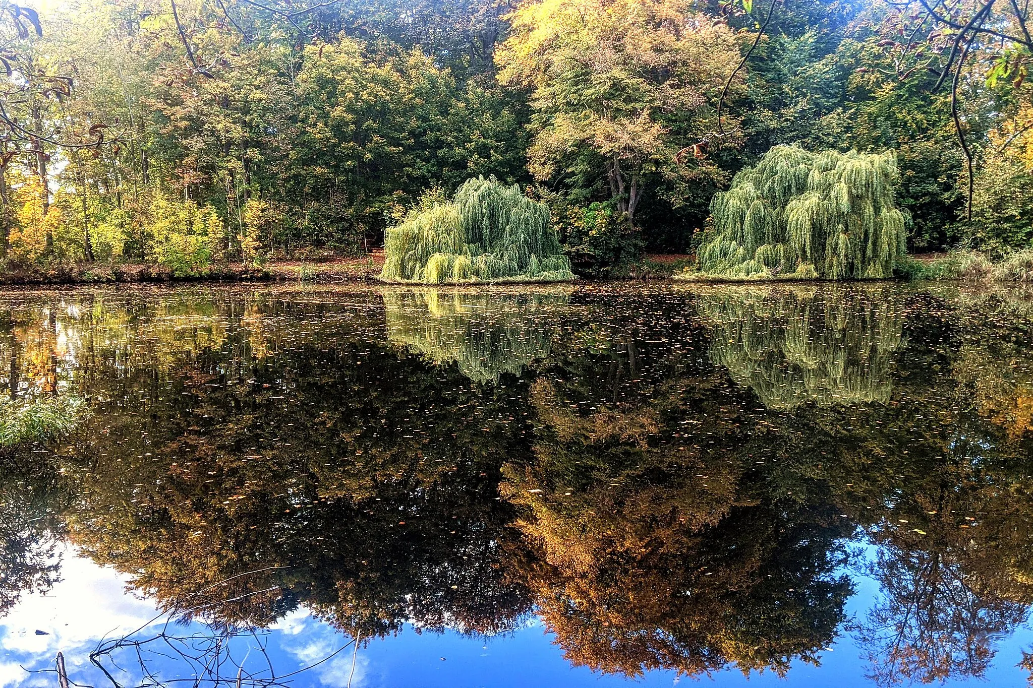 Photo showing: Salzteich im Kurpark von Bad Oldesloe