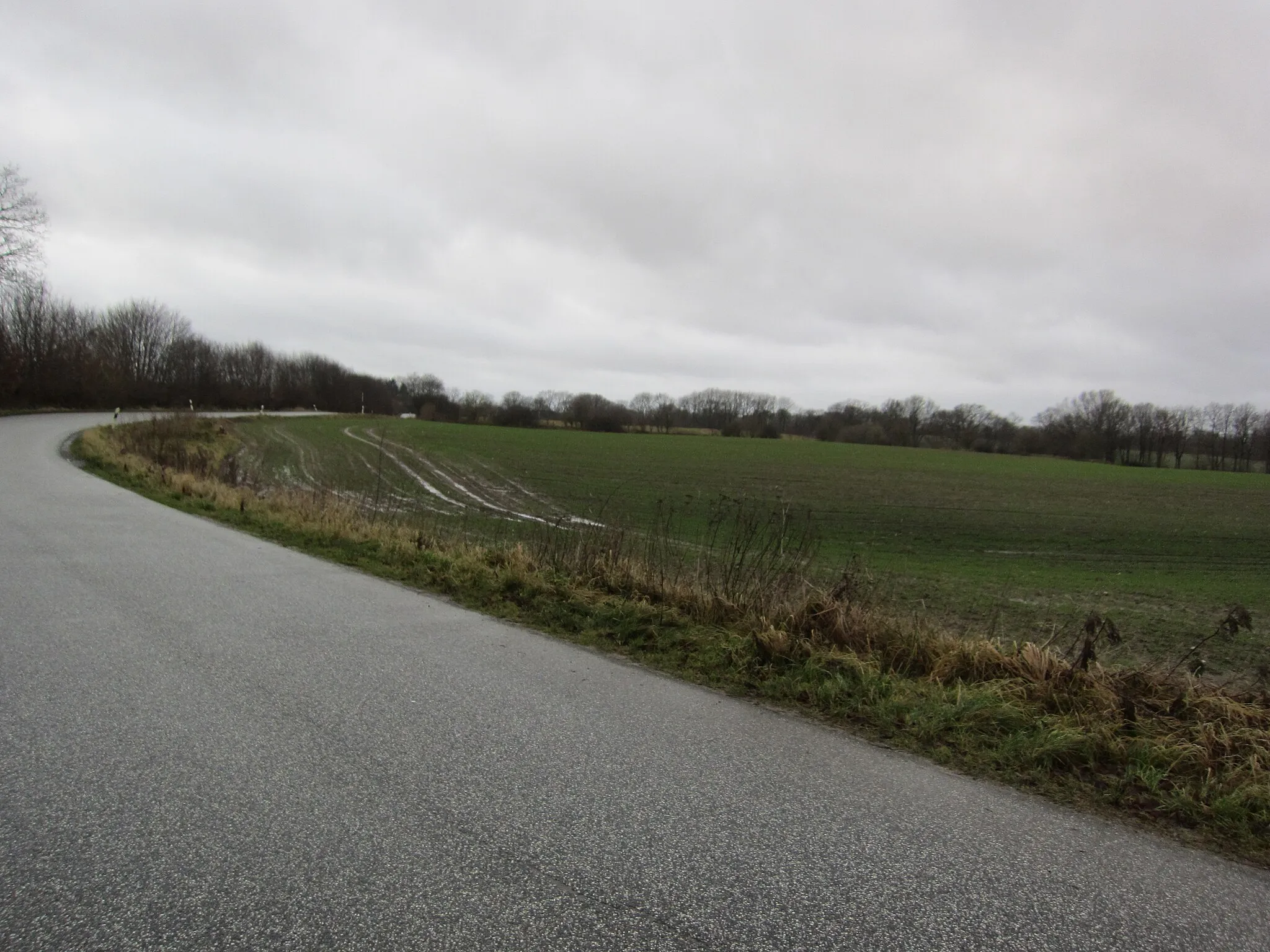 Photo showing: Curve around a field in Kiel-Rönne