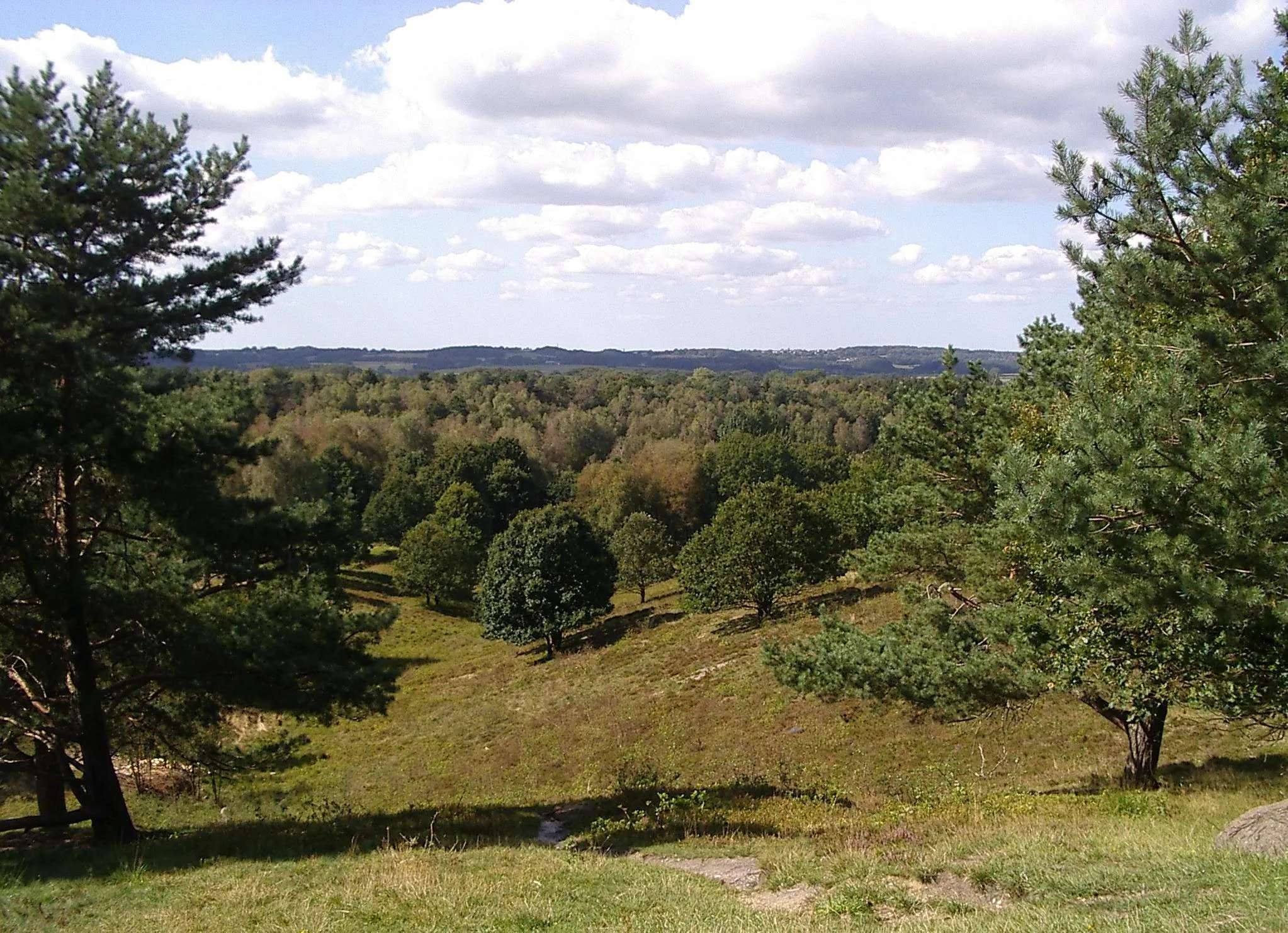 Photo showing: Blick vom Boxberg bei Aukrug-Homfeld