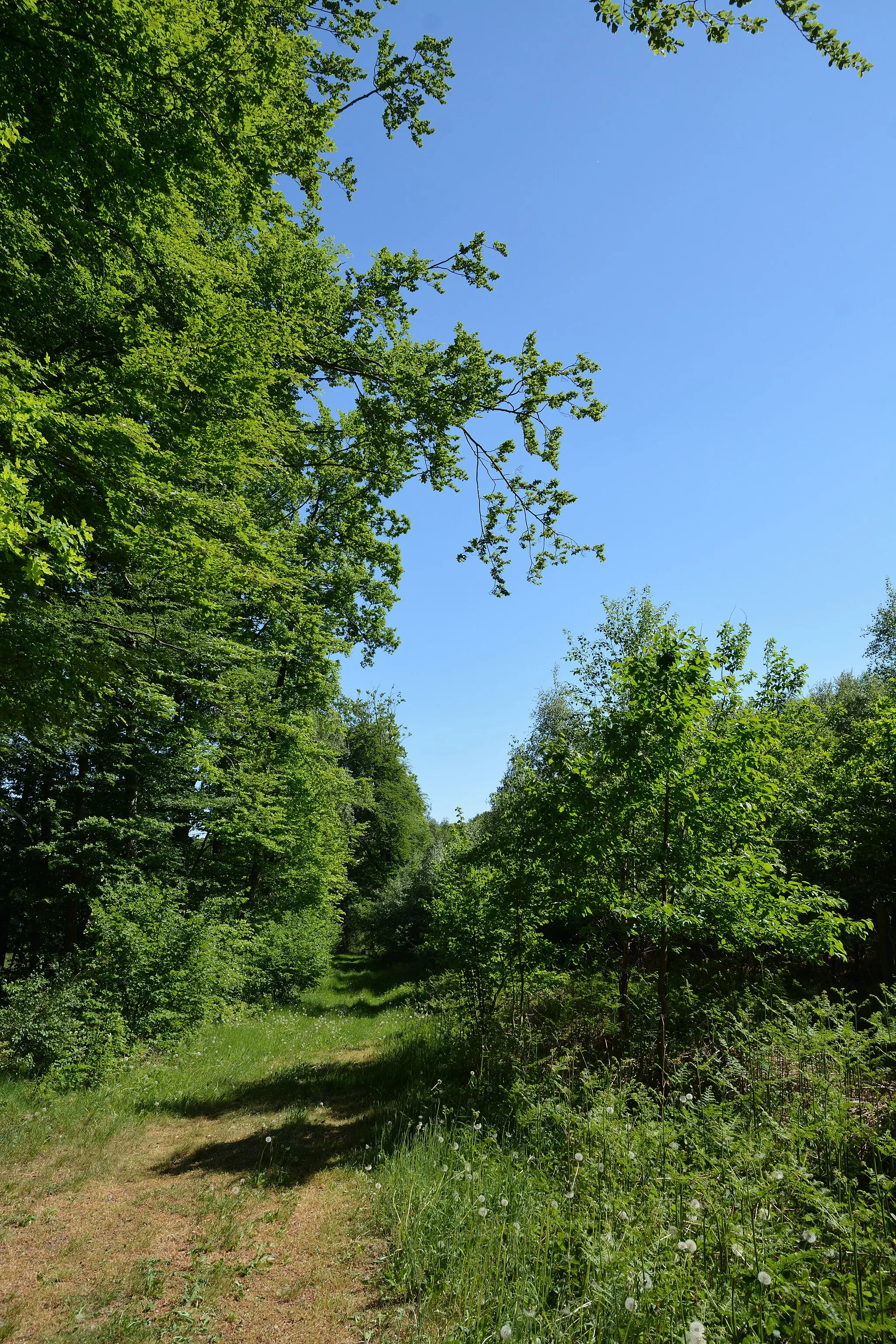 Photo showing: This is a picture of the protected area listed at WDPA under the ID