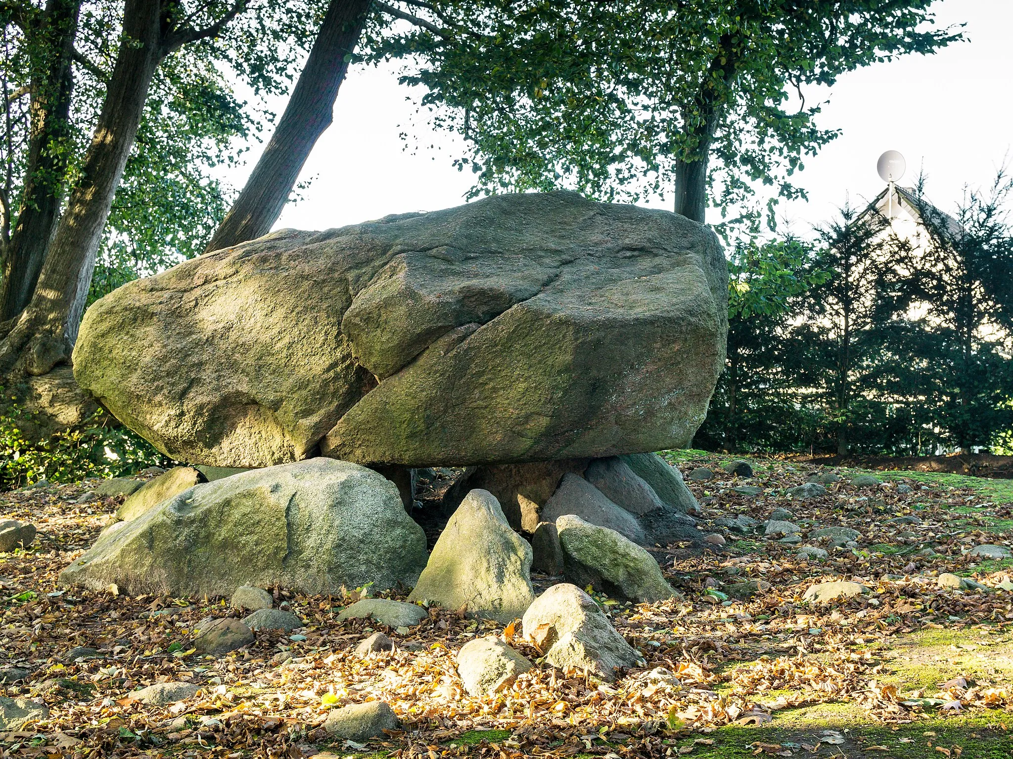 Photo showing: Brutkamp Großsteingrab mit dem größten Deckstein in Schleswig-Holstein in Albersdorf (Dithmarschen)