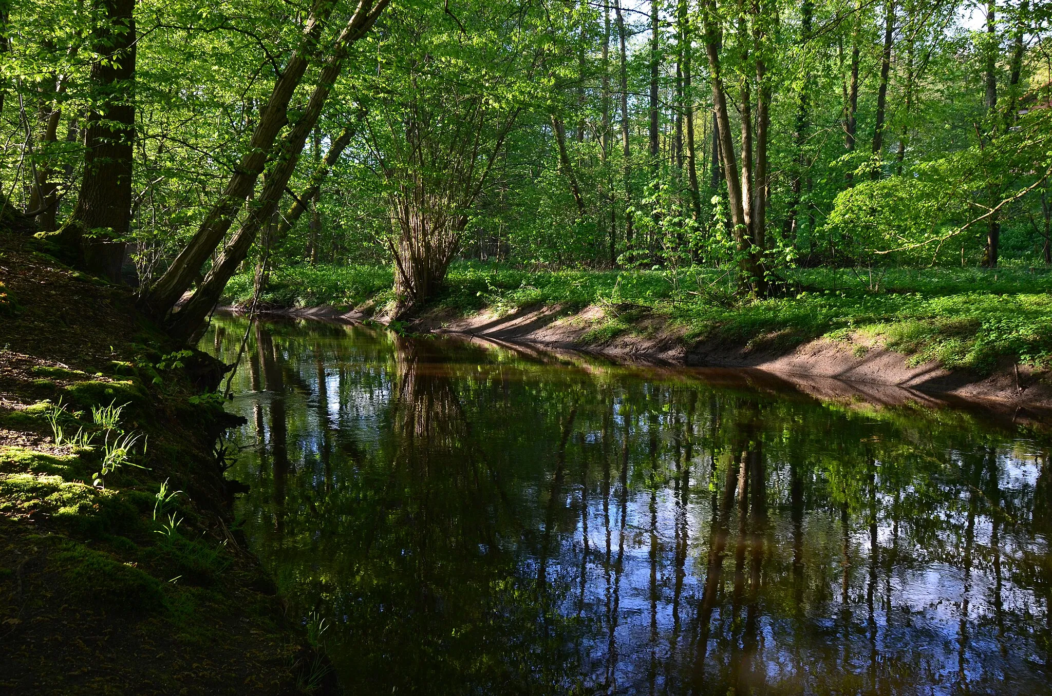 Photo showing: Die Bille in Reinbek im NSG Billetal