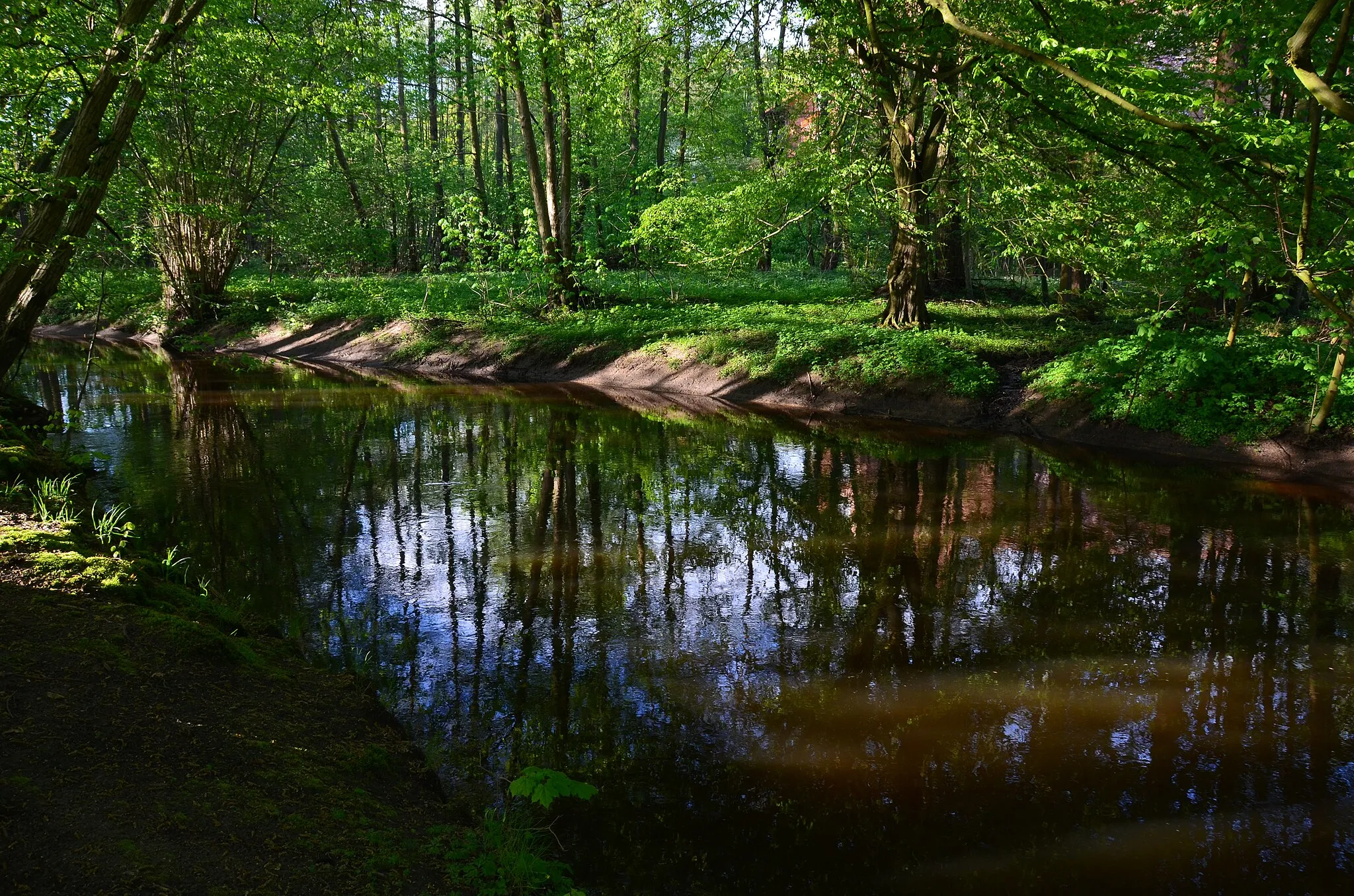 Photo showing: Die Bille in Reinbek im NSG Billetal