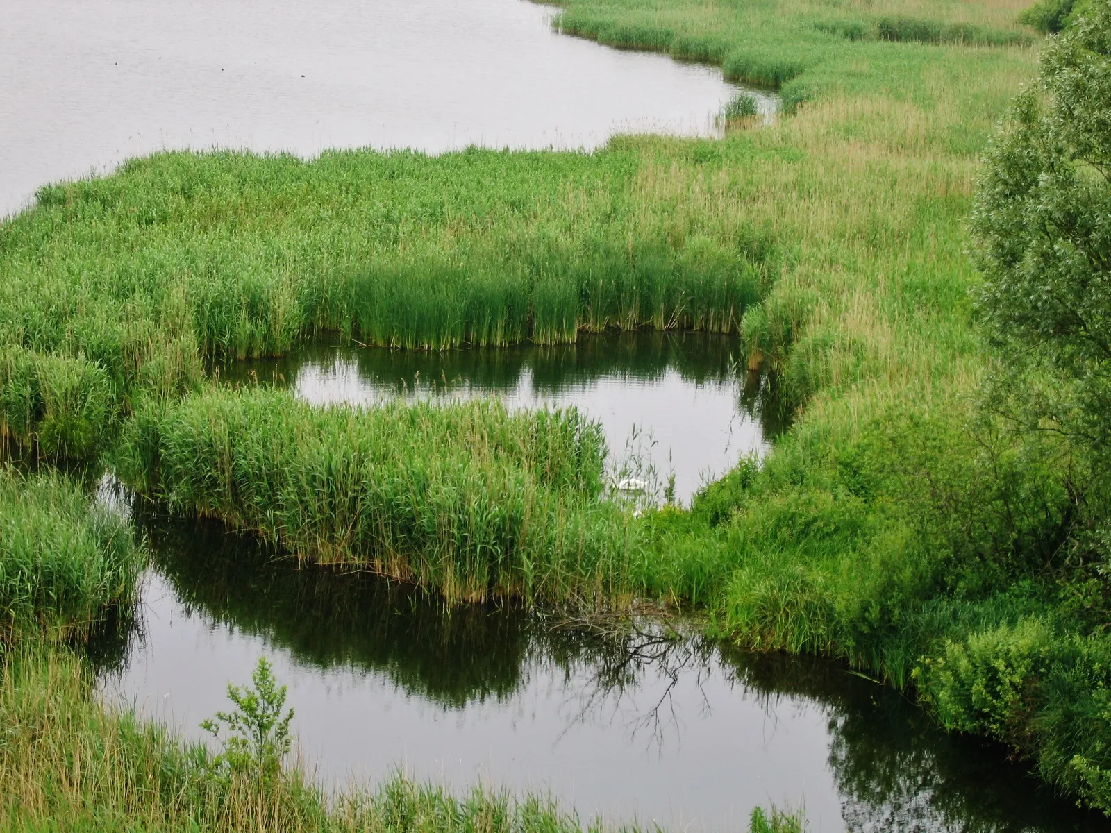 Photo showing: Hemmelsdorfer See