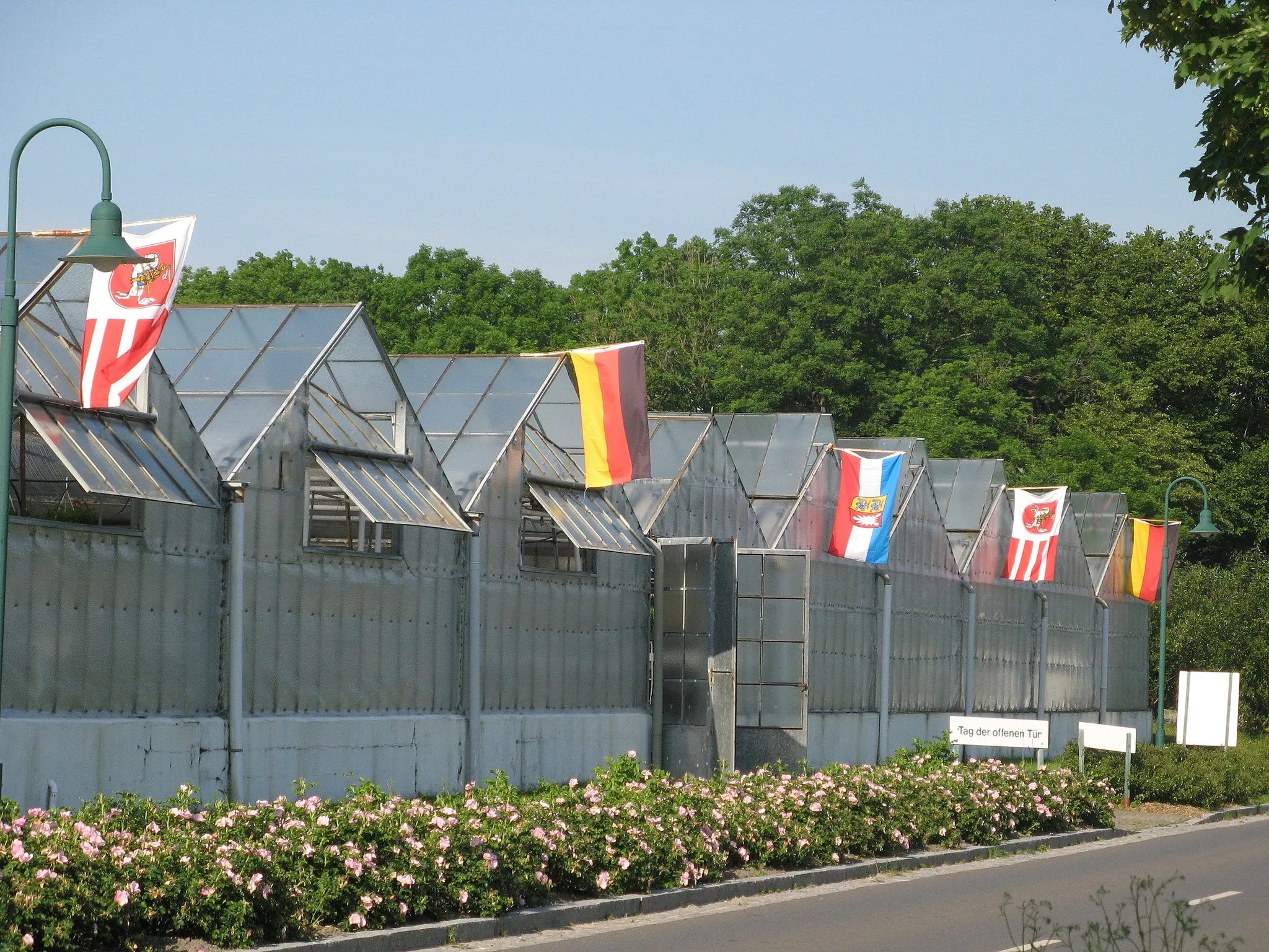 Photo showing: Greenhouse in Schülp, Dithmarschen.