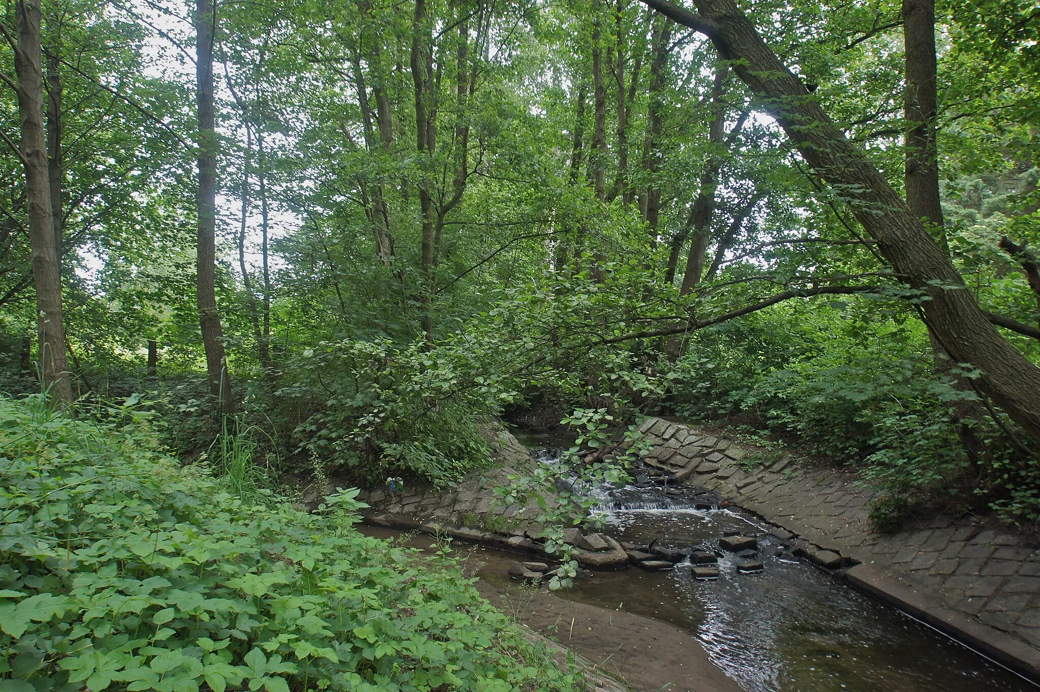 Photo showing: Hamburg (Billstedt), Germany: The confluence of the Schleemer Bach and theJenfelder Bach