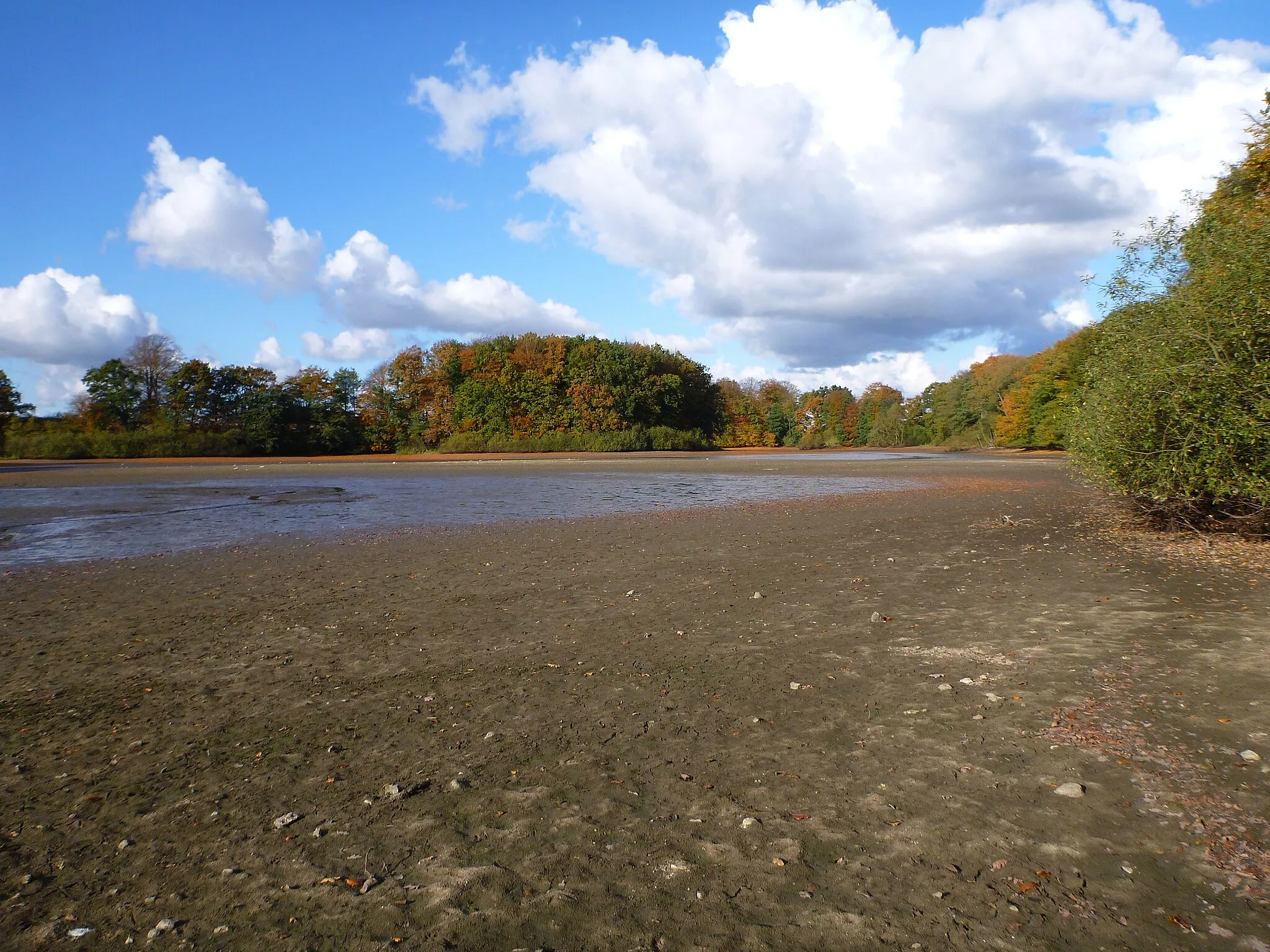 Photo showing: The Viehteich in fall without water