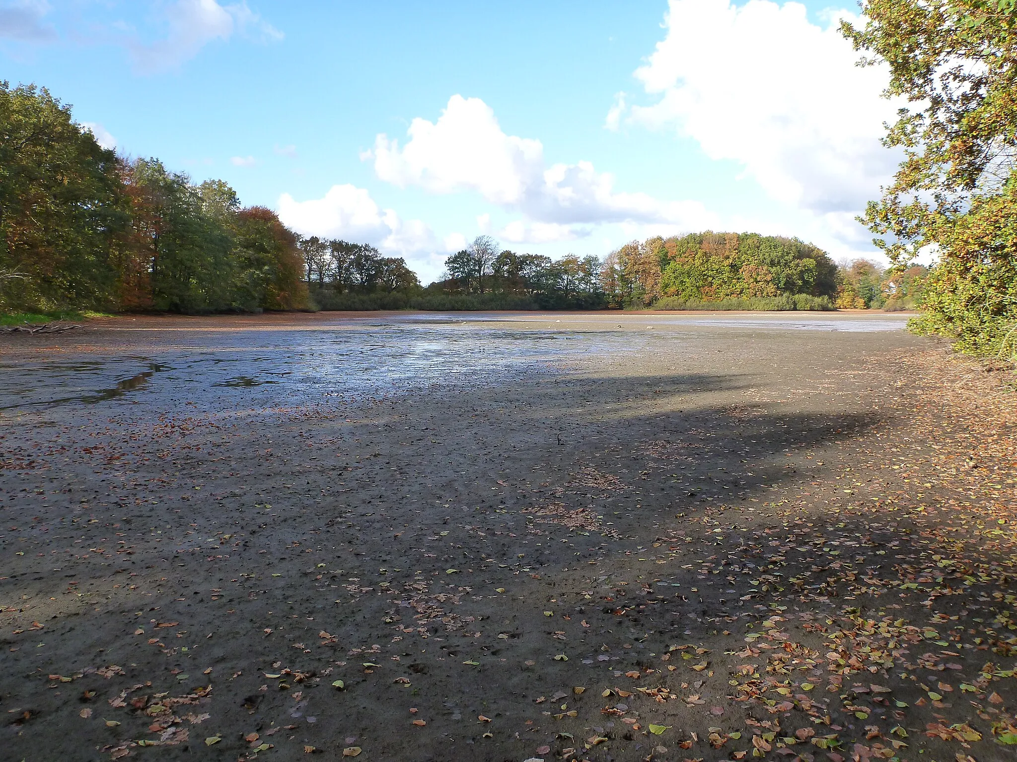 Photo showing: The Viehteich in fall without water