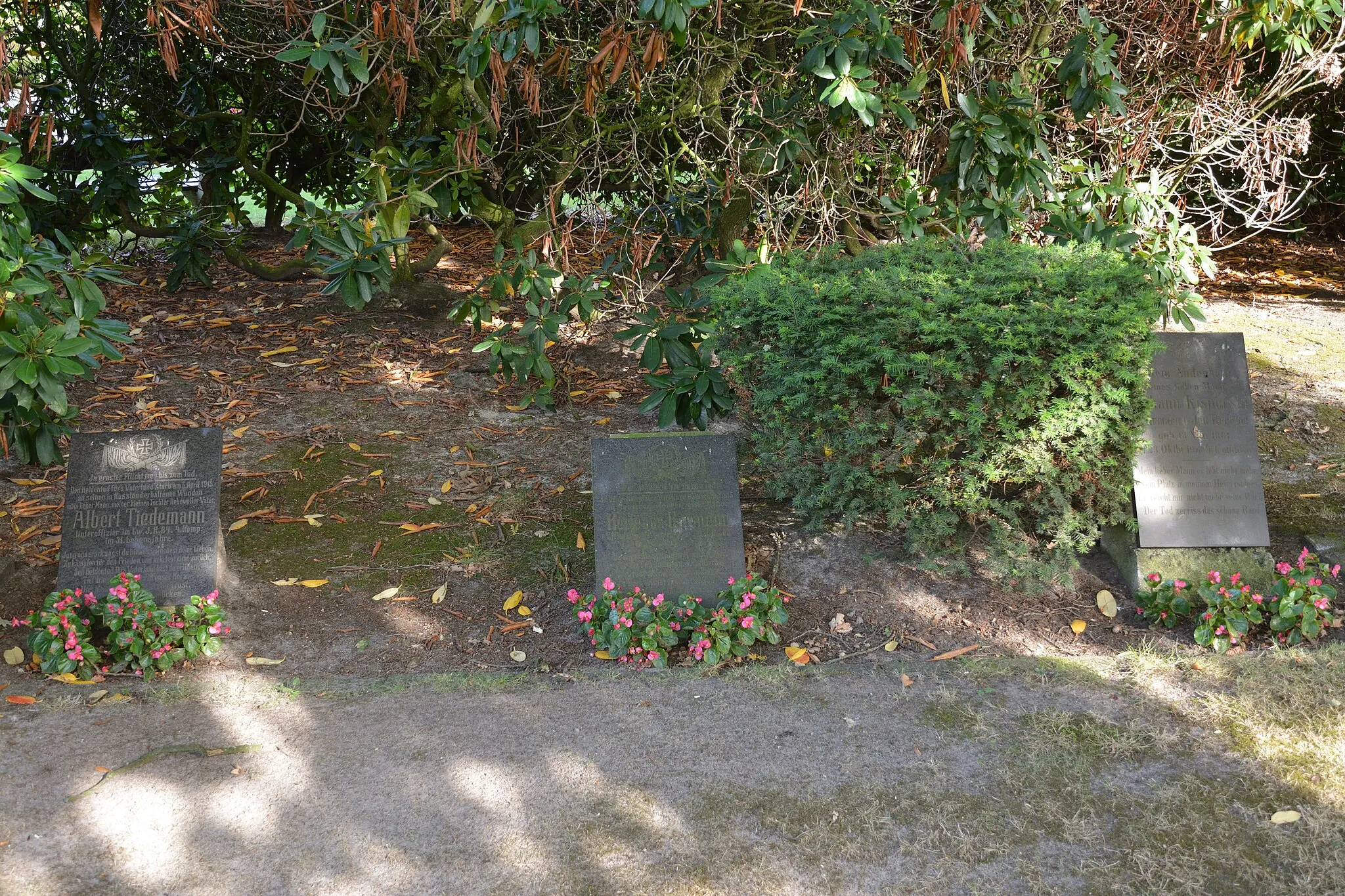 Photo showing: Bilder vom Friedhof in Wedel: Gräber des Ersten Weltkriegs