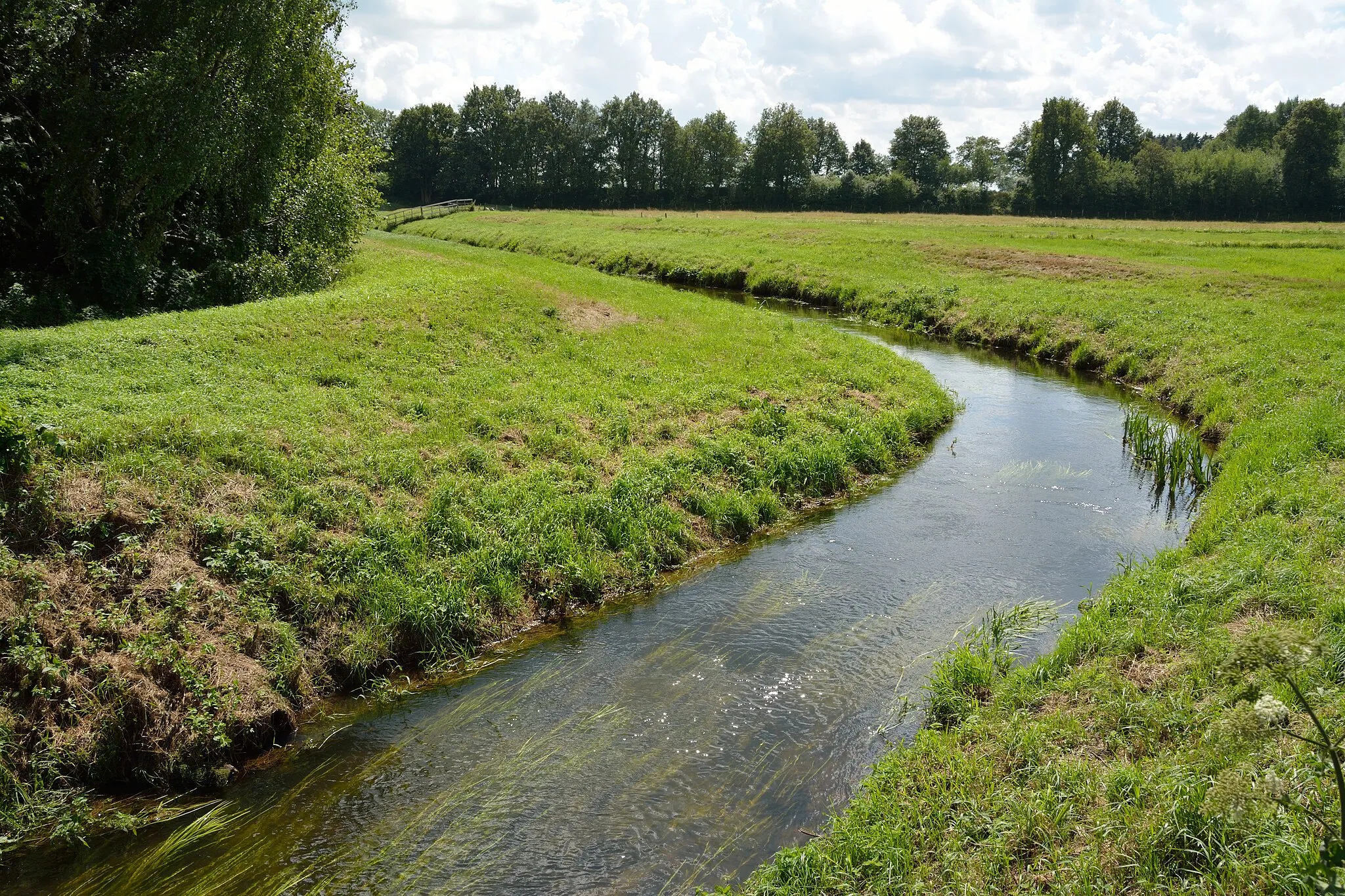 Photo showing: Blick auf die Mühlenbarbeker Au in Mühlenbarbek