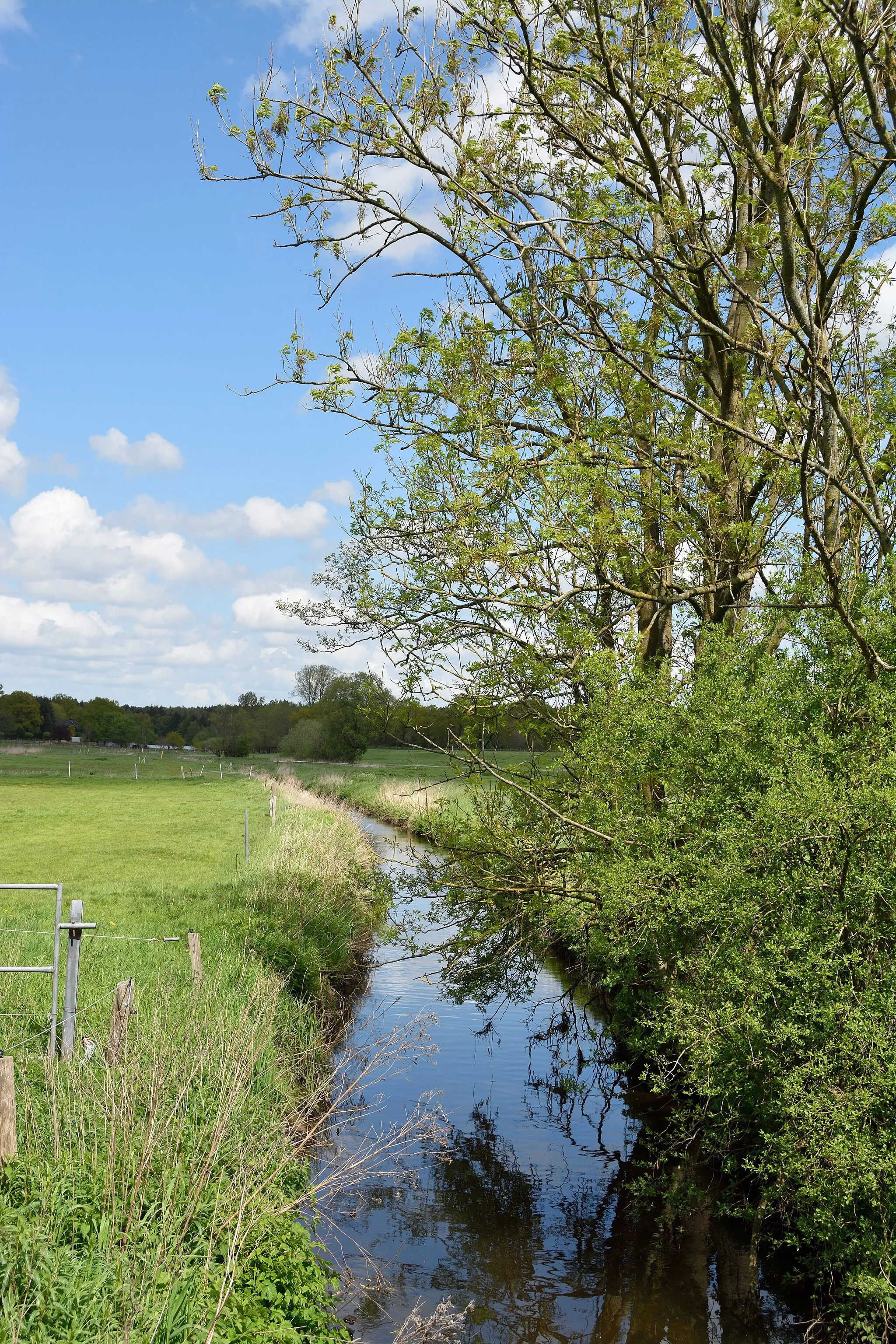 Photo showing: This is a picture of the protected area listed at WDPA under the ID