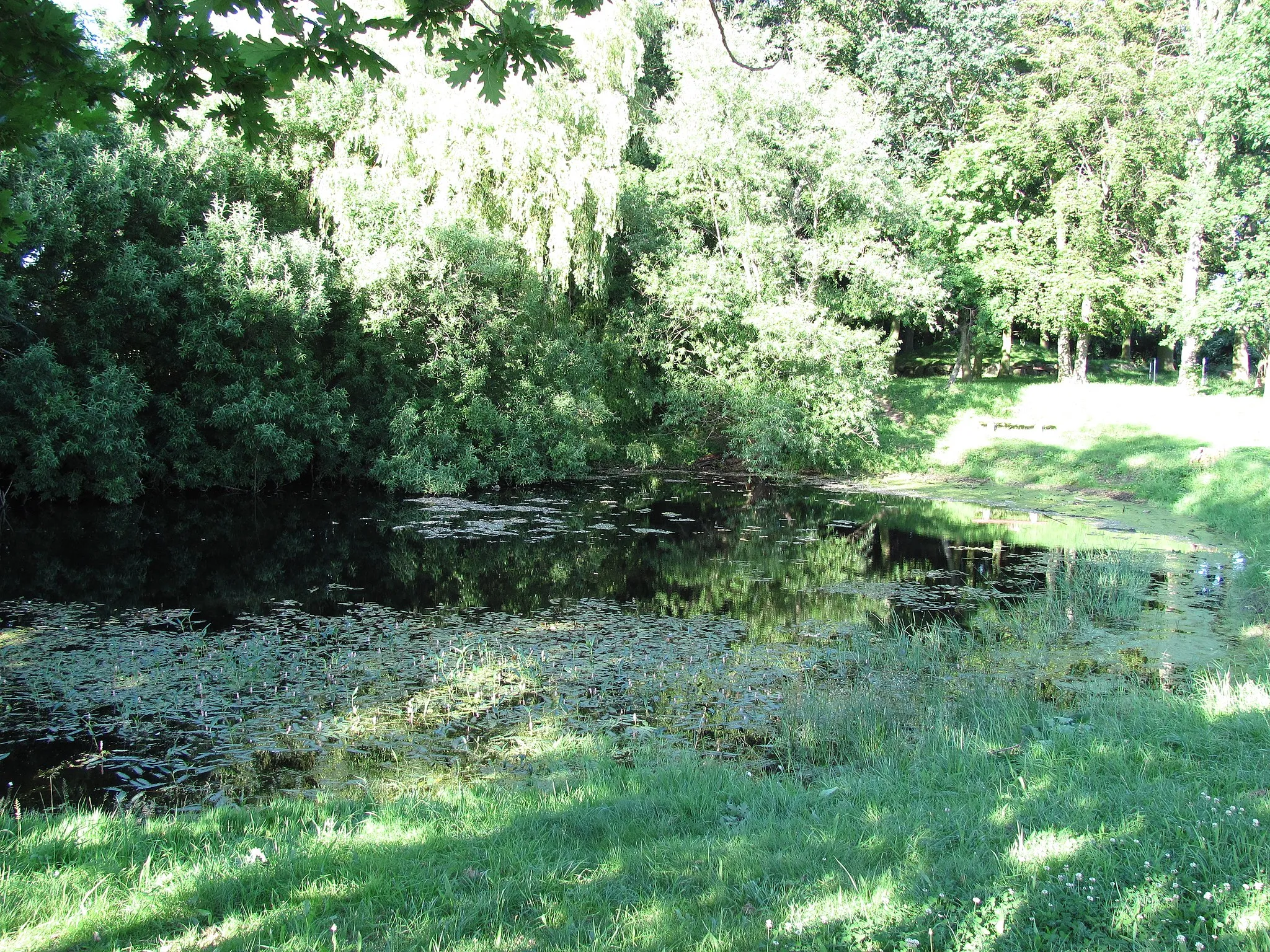 Photo showing: Pond "Ratssoll", Petersdorf, Fehmarn