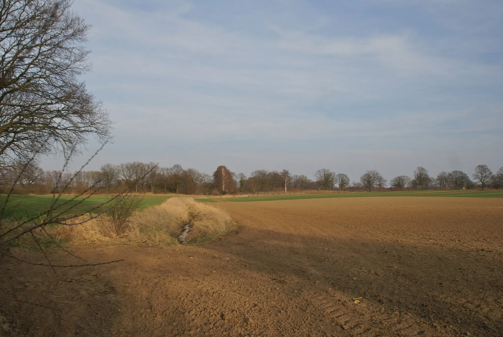 Photo showing: Bargfeld-Stegen, Germany: The river Wedenbek close to its confluence with the Alte Alster