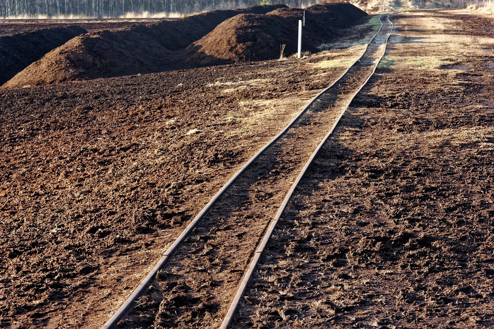 Photo showing: Quickborn, Torfbahn Himmelmoor, Oststrecke