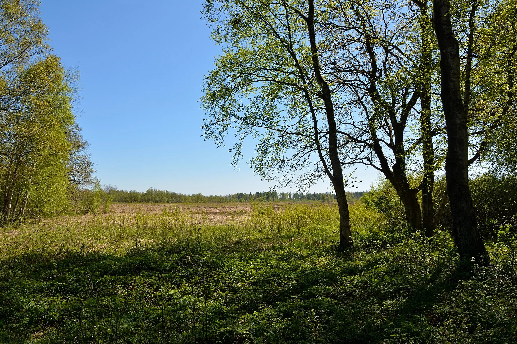 Photo showing: This is a picture of the protected area listed at WDPA under the ID