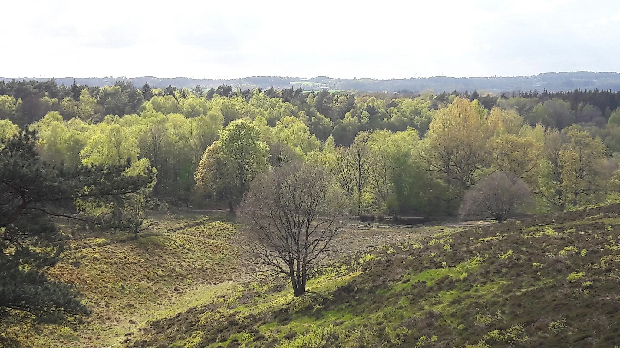 Photo showing: Boxberg, Aukrug