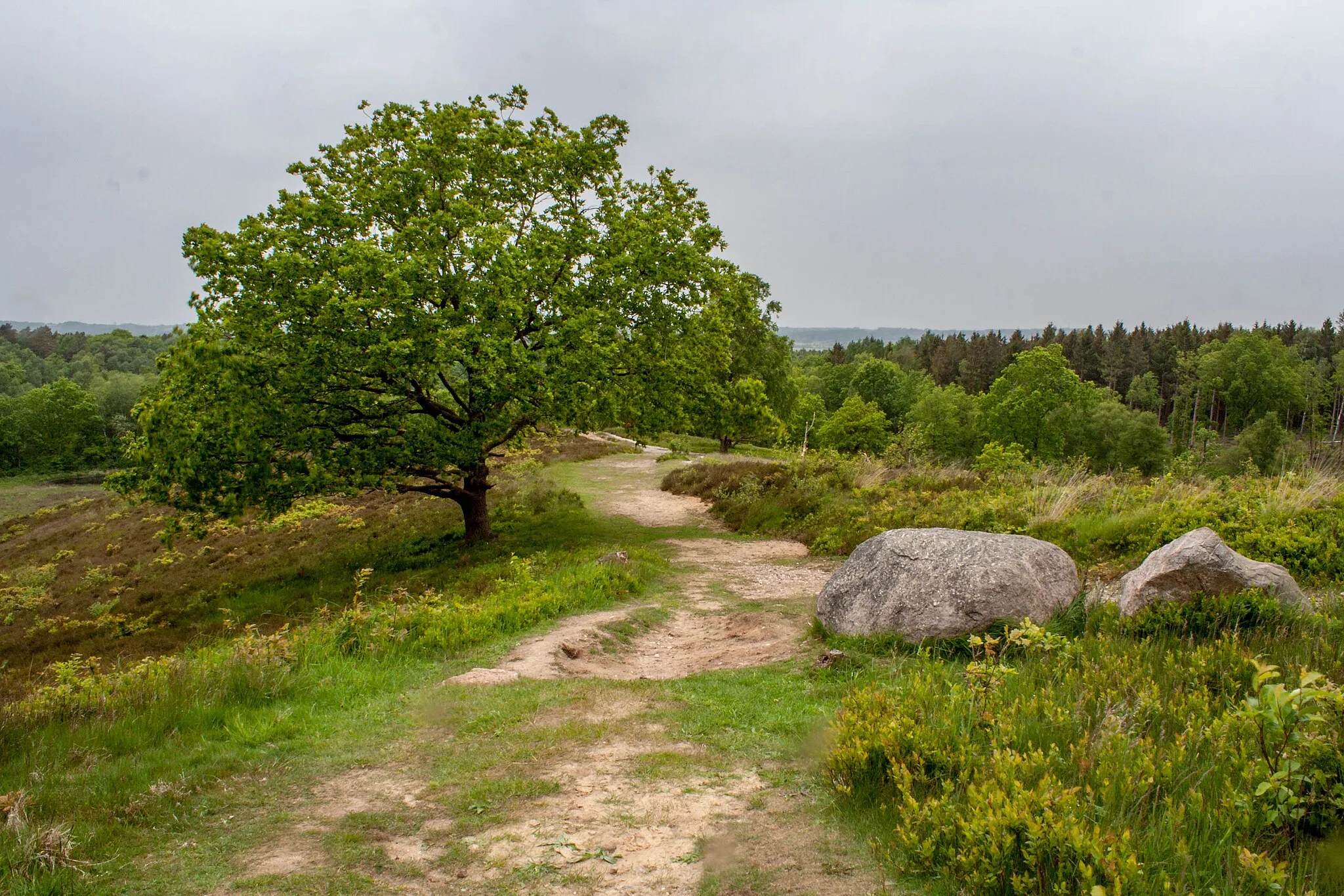 Photo showing: On top of Boxberg