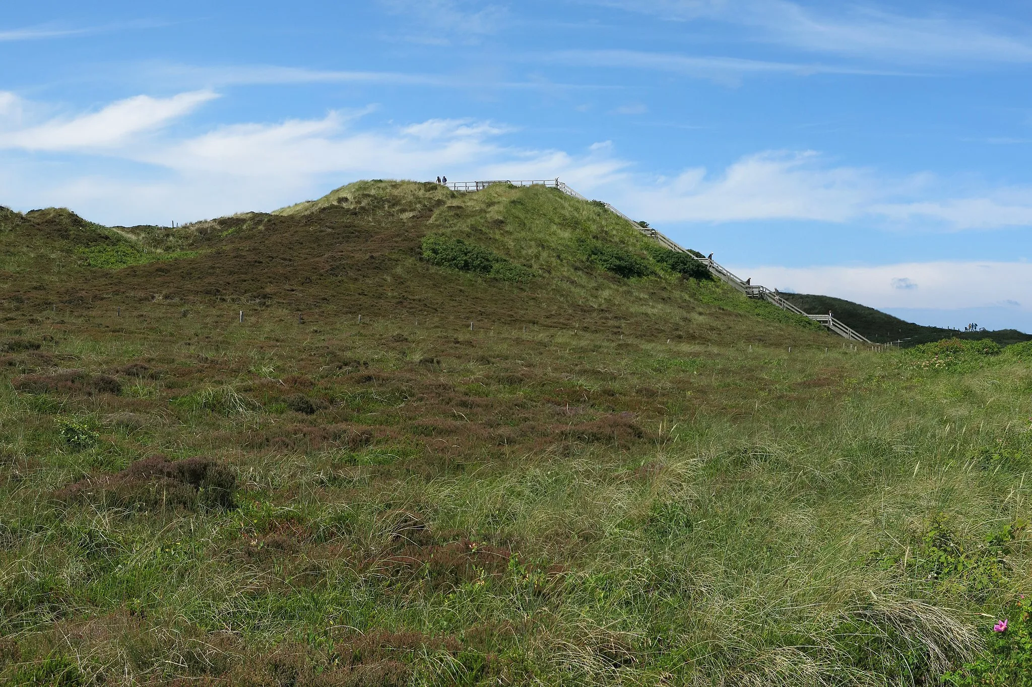 Photo showing: The Uwe-Dune, highest elevation of the island of Sylt, seen from east.
