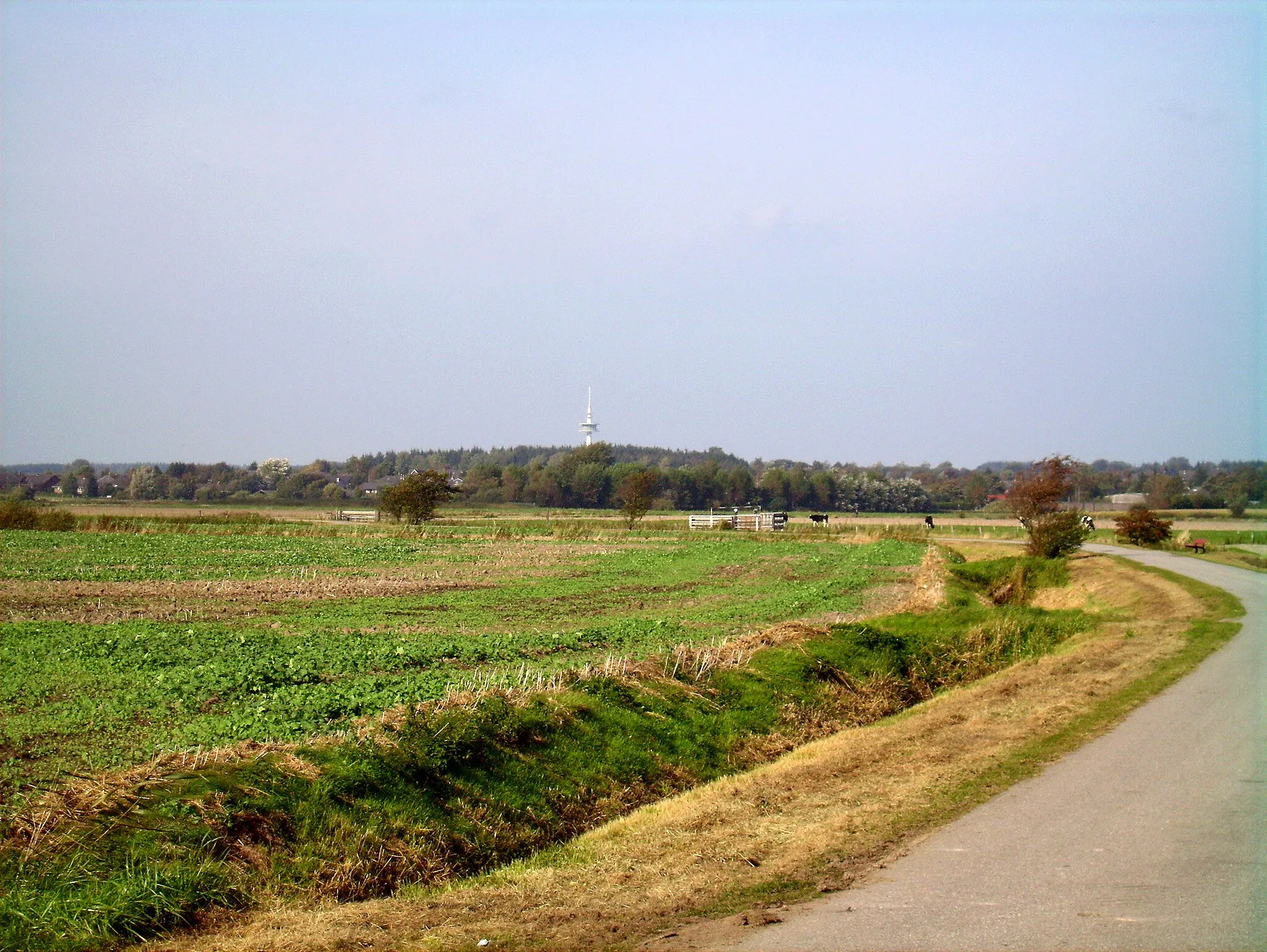 Photo showing: View from 'Bredstedter Koog' to the Stollberg with Telecommunication Tower in North Frisia, Germany