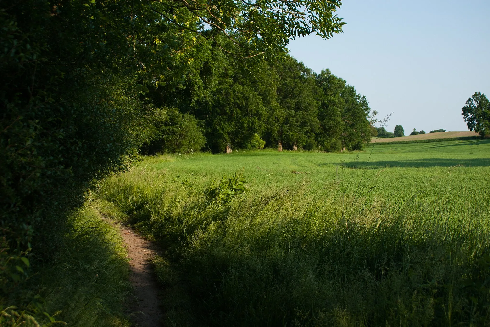 Photo showing: Wanderweg am Windebyer Noor Blickrichtung Süden