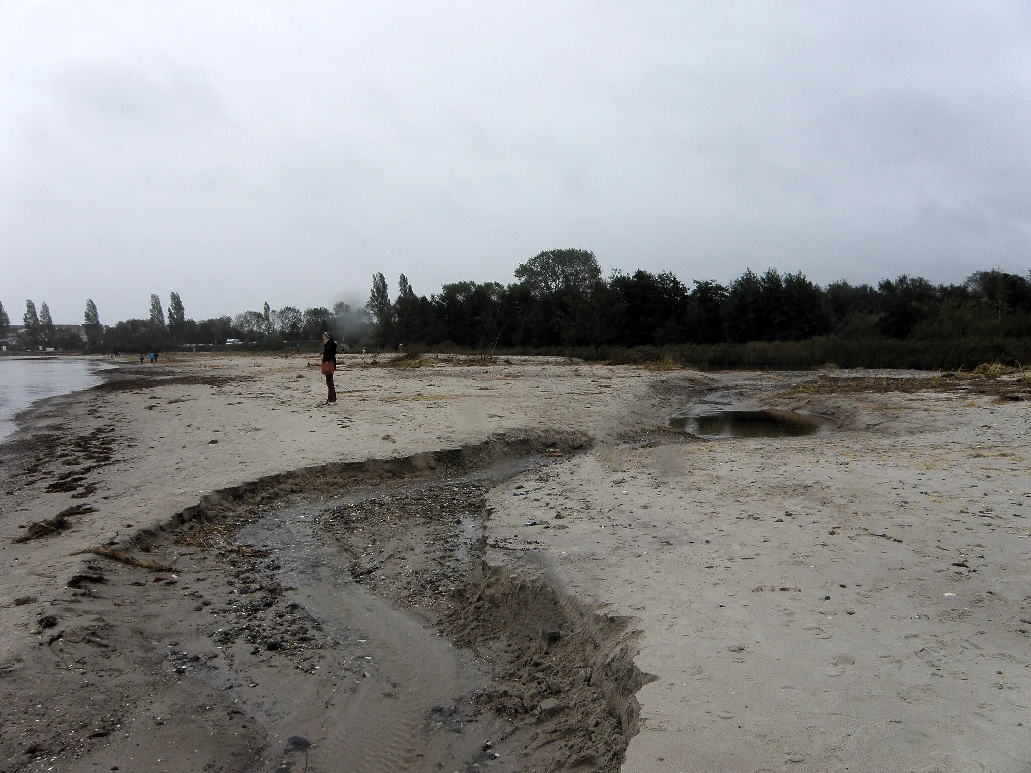 Photo showing: Die Vogel-Ruhezone im NER Laboe hat nach dem Sturm stark gelitten.