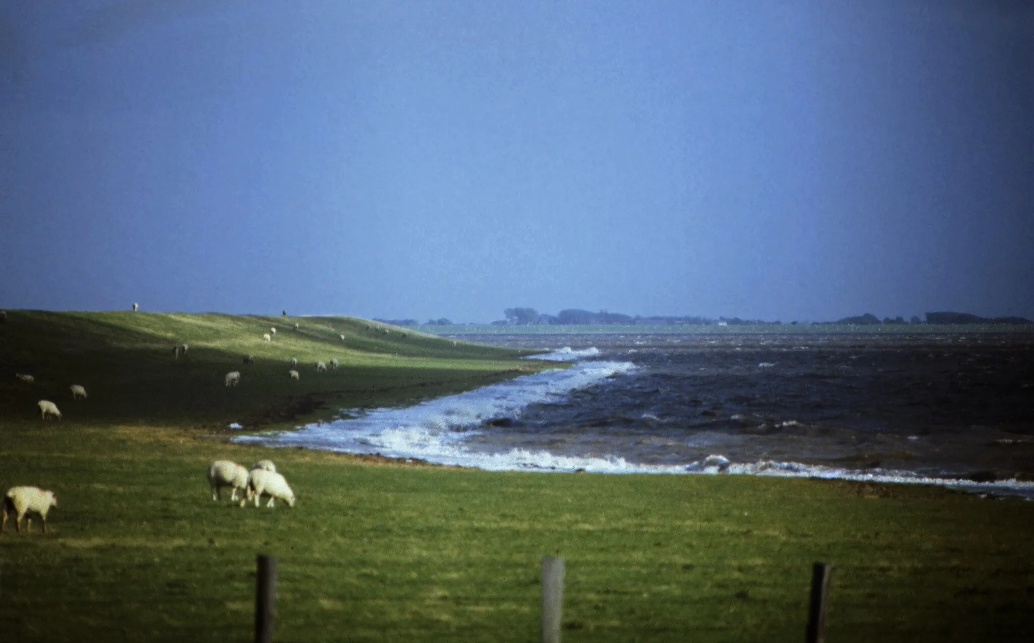 Photo showing: Der Deich bei Schüttsiel (Nationalpark Schleswig-Holsteinisch Wattenmeer,Nordfriesland).