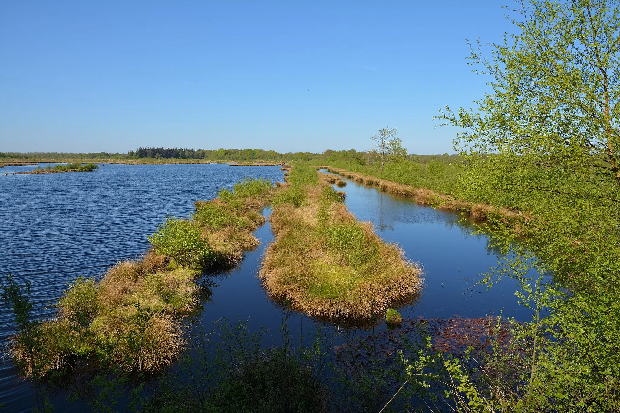 Photo showing: This is a picture of the protected area listed at WDPA under the ID