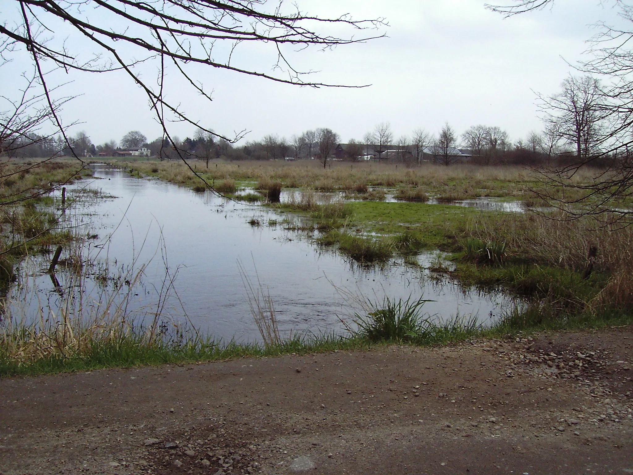 Photo showing: Pohnsdorfer Stauung - Ostpolder, Blick in nordöstliche Richtung