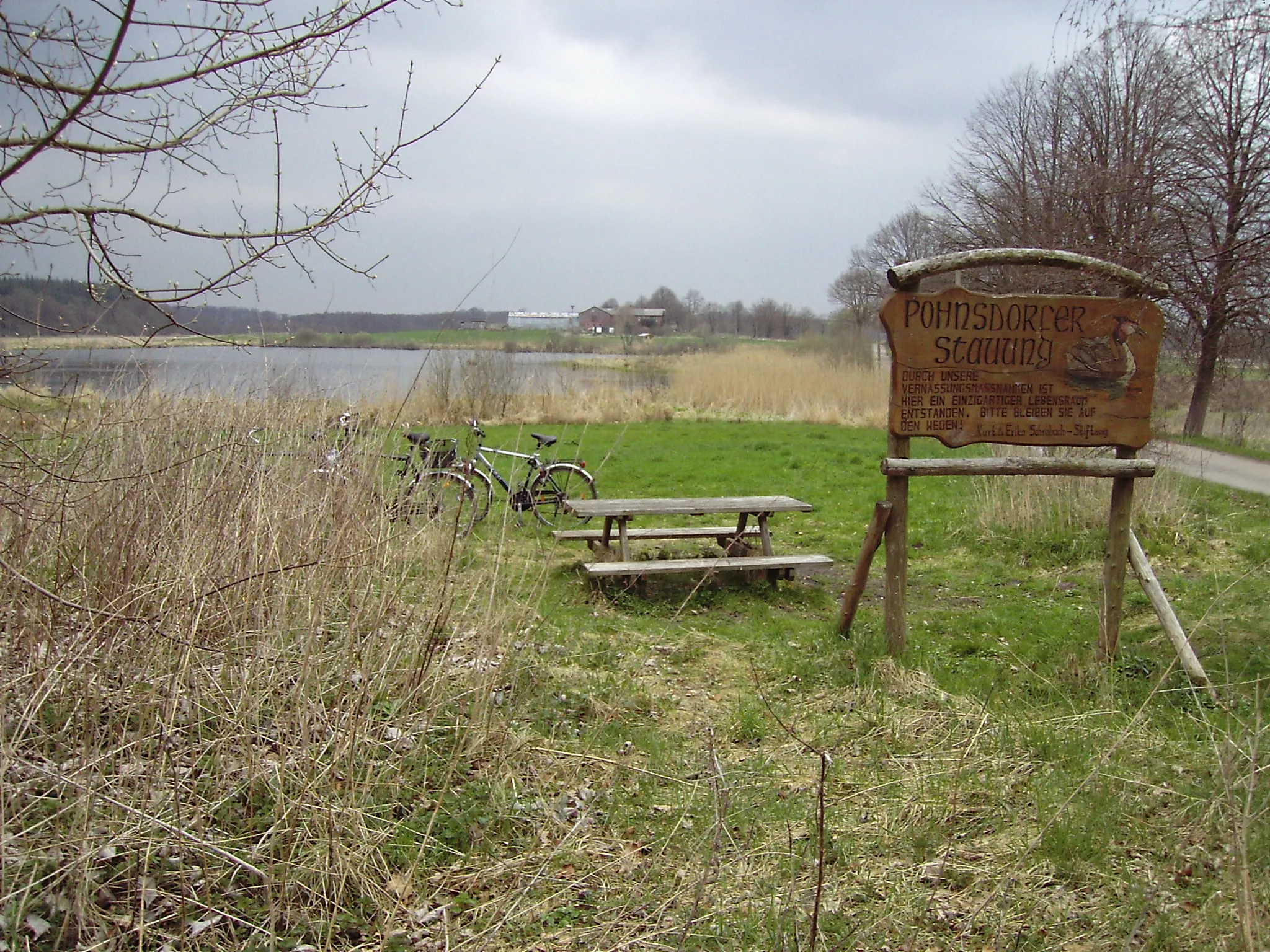 Photo showing: Pohnsdorfer Stauung - Westpolder, Blick in nördliche Richtung