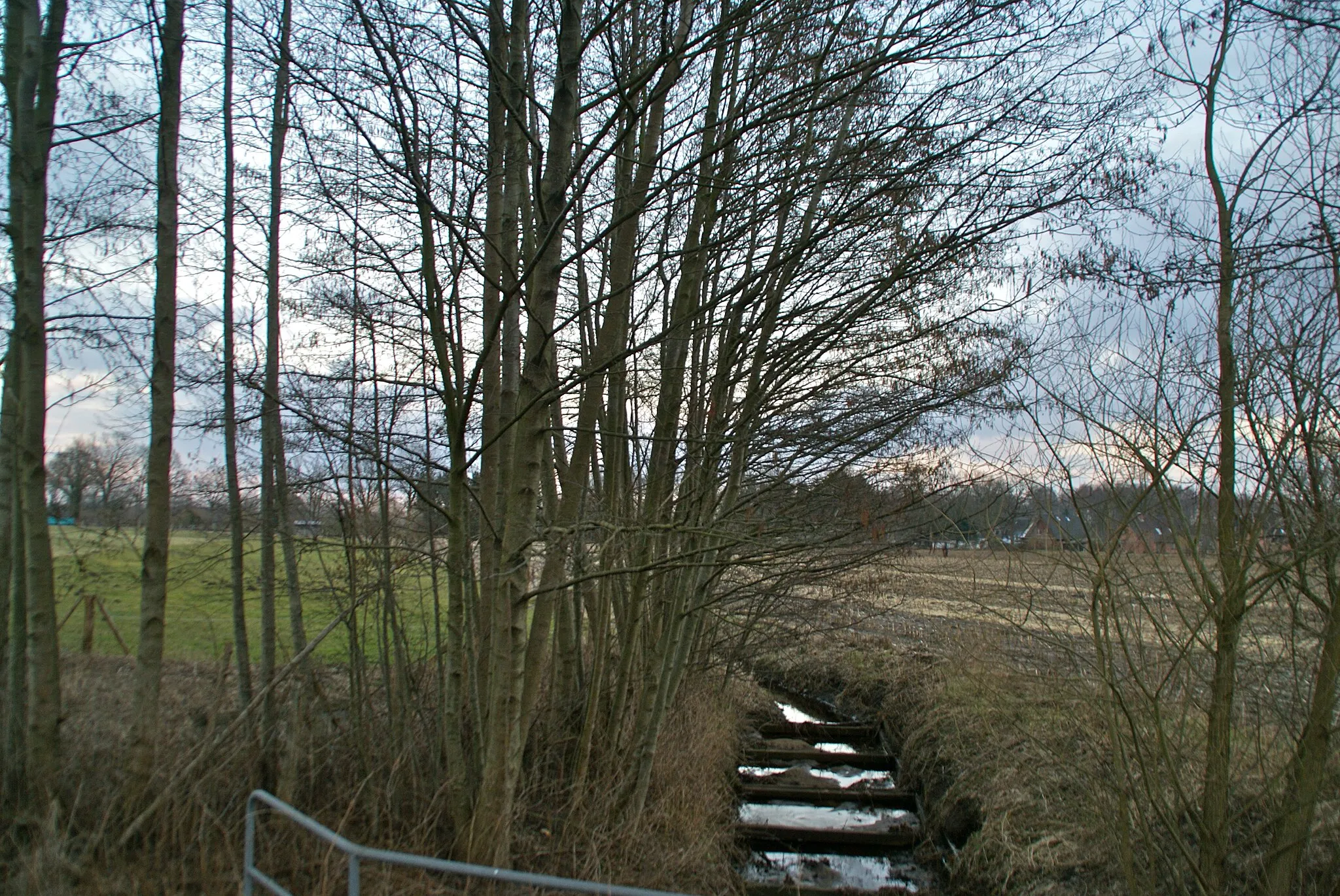 Photo showing: Tangstedt (Stormarn) (Wiemerskamp), Germany: The river Wiemersbek