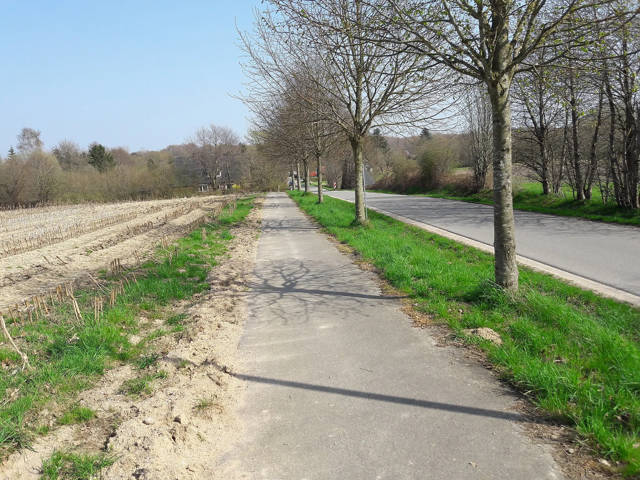 Photo showing: von Boksee über Ketelsberg zur B 404