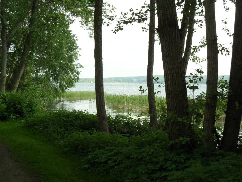 Photo showing: Lake Ratzeburg