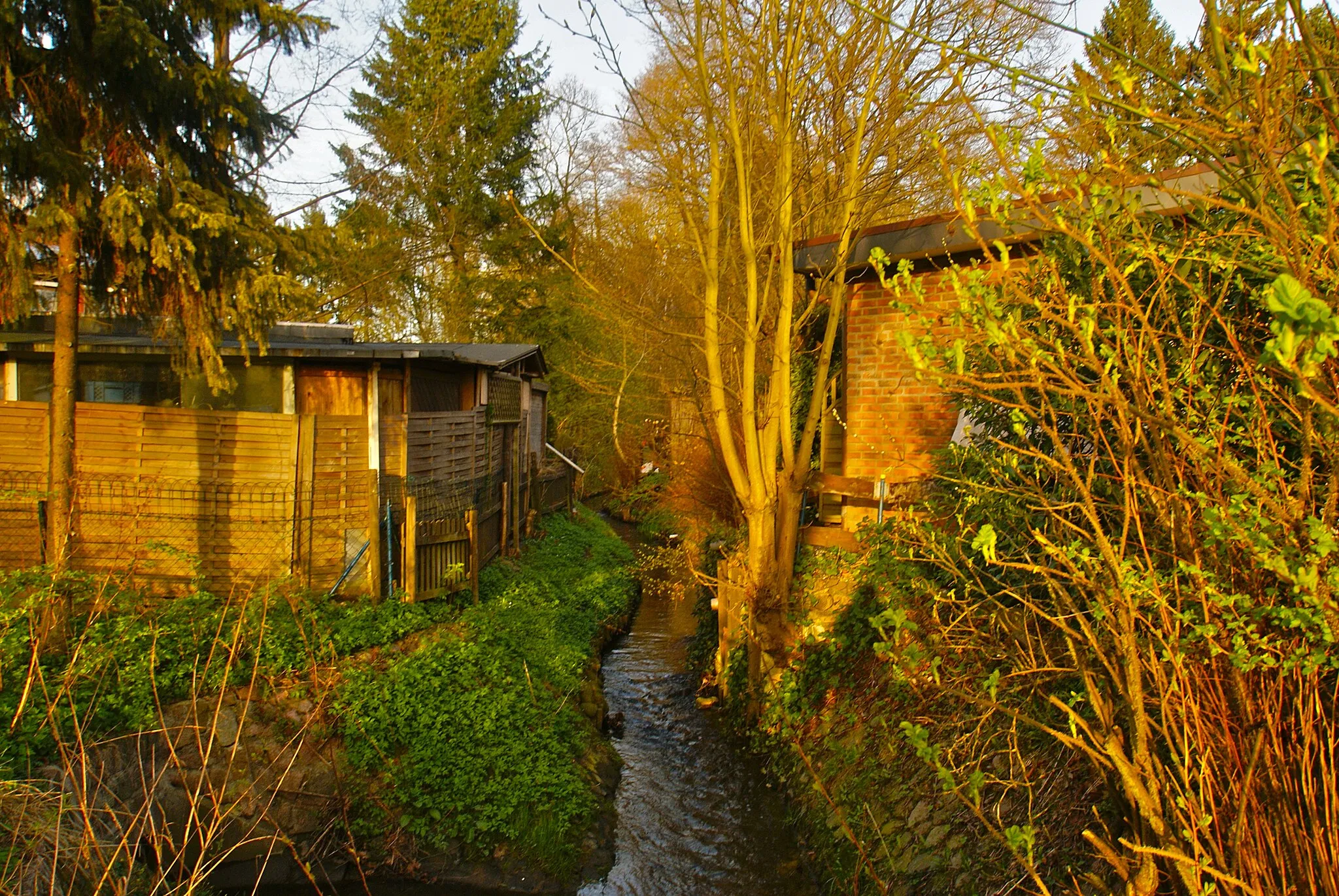 Photo showing: Ammersbek, Germany: The river Strusbek by the street Heideweg