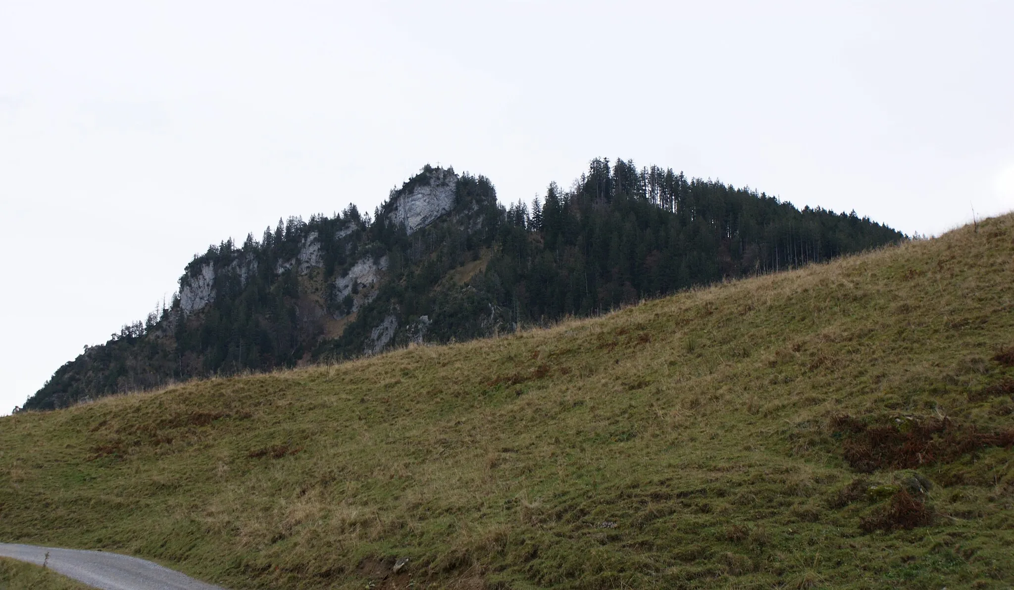 Photo showing: Bocksberg (1461 masl) on the municipal border between Hohenems and Dornbirn in Vorarlberg, Austria. The mountain belongs to the Schuttannenberge (Mountain range) in the Bregenz Forest Mountains (Mountain range). View from the Alpe Schuttannen.