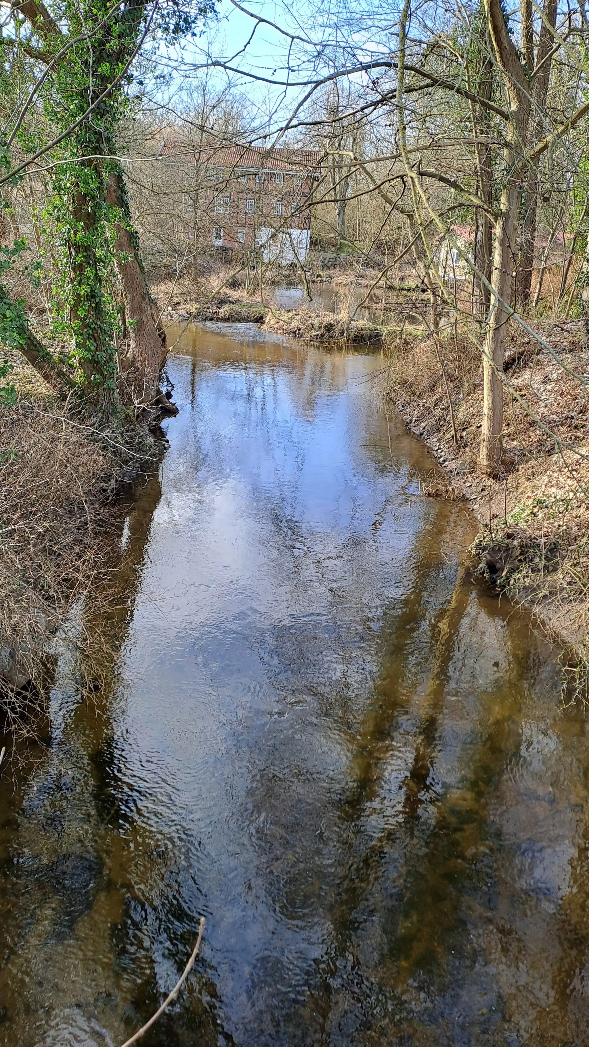 Photo showing: außerhalb des FFH-Gebietes