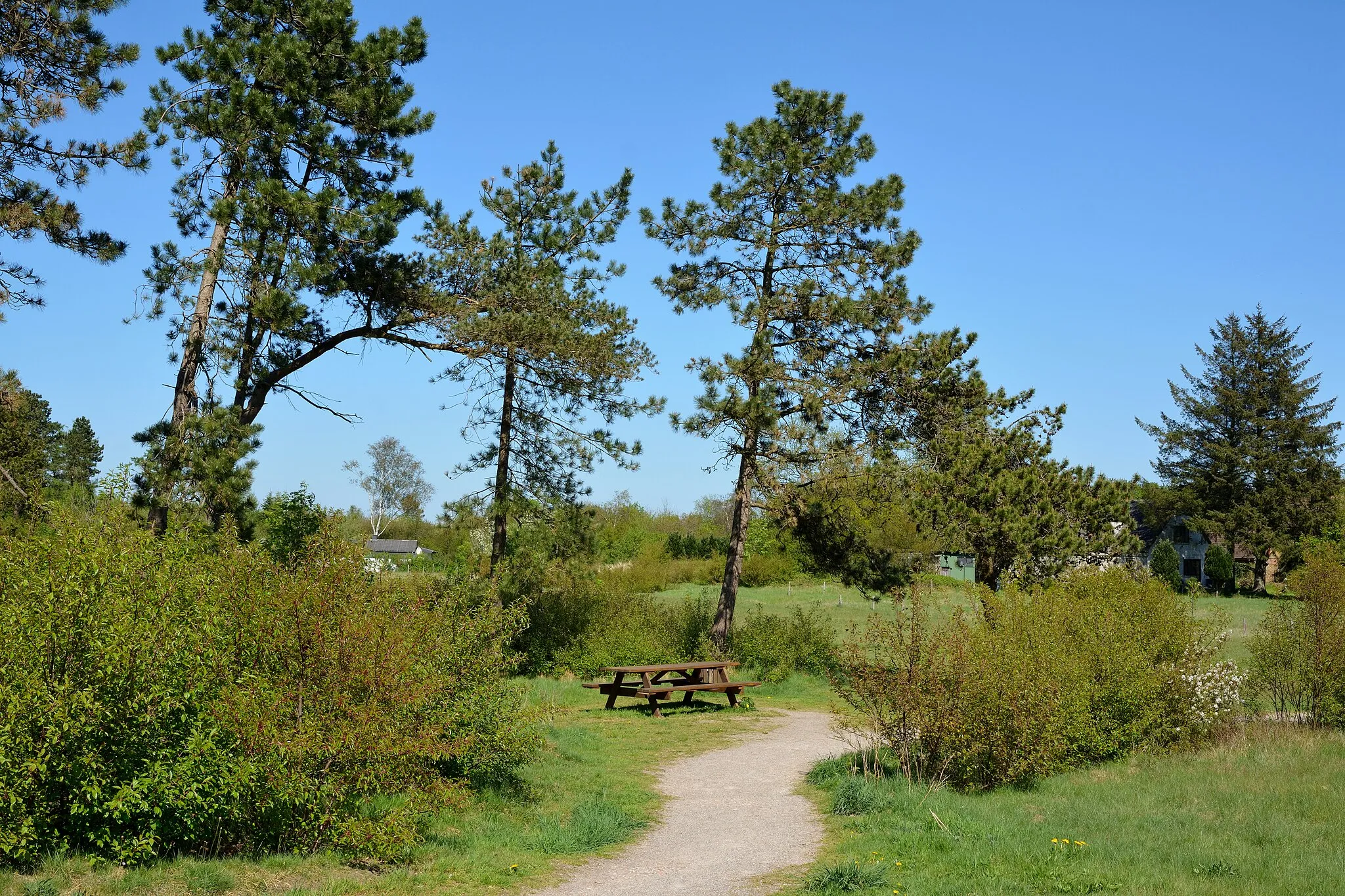 Photo showing: Impressionen aus dem Naturerlebnisraum "Posberg" in Süderlügum