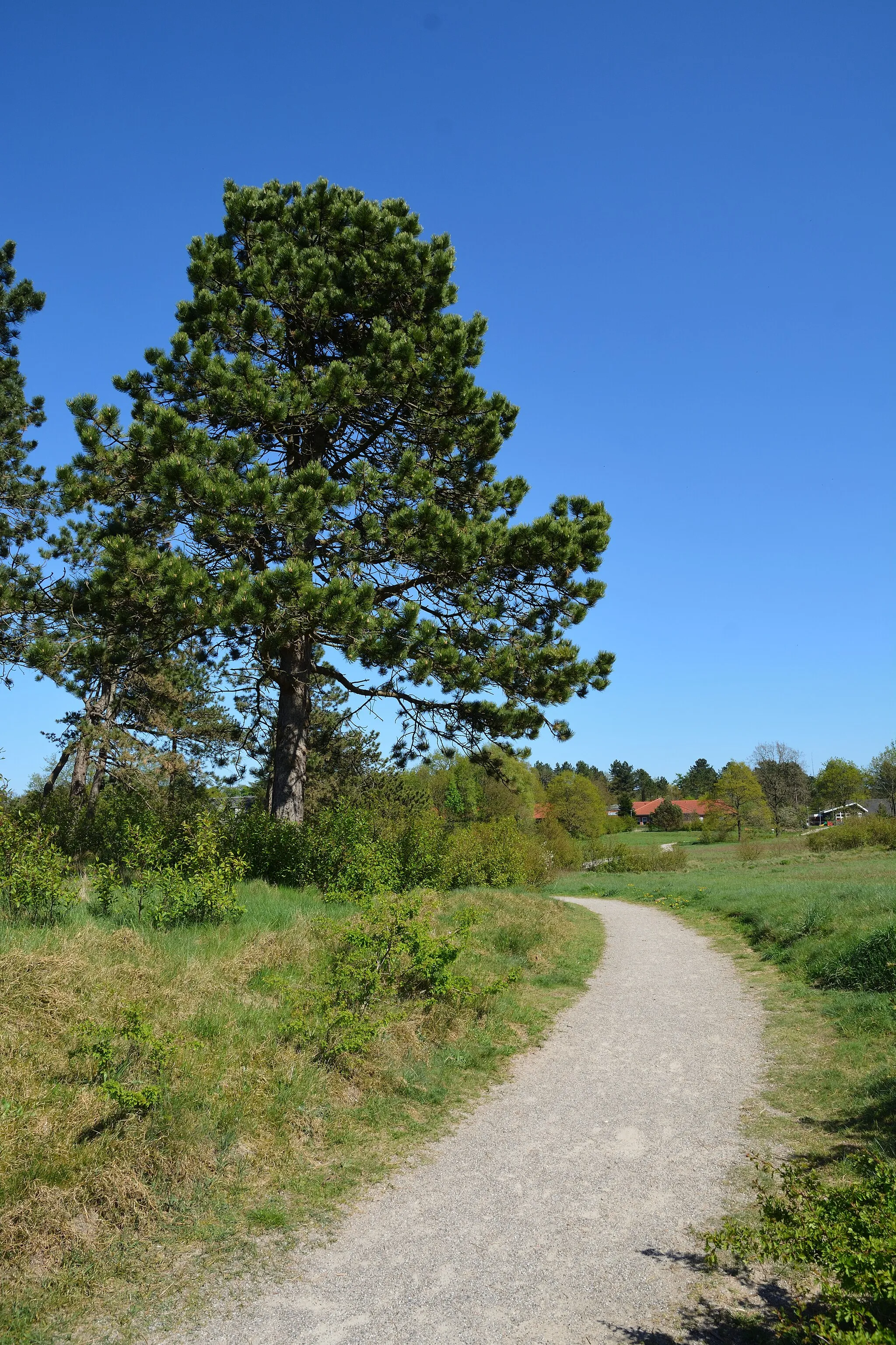 Photo showing: Impressionen aus dem Naturerlebnisraum "Posberg" in Süderlügum