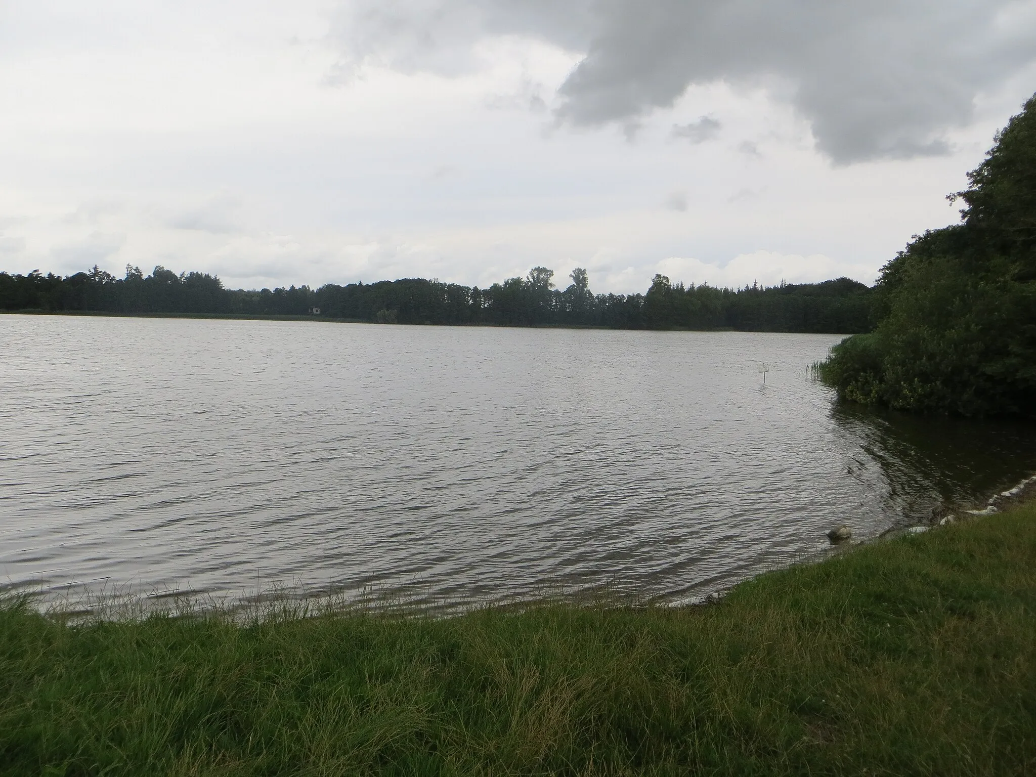 Photo showing: Sankelmarker See, kleine Bucht (westlich, Juli 2017)