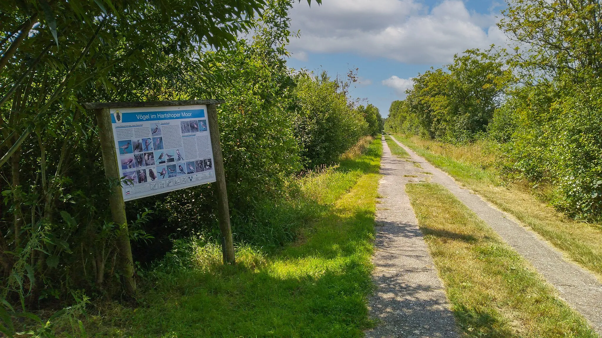 Photo showing: FFH-Gebiet Moore der Eider-Treene-Sorge-Niederung - Teilgebiet Hartshoper Moor