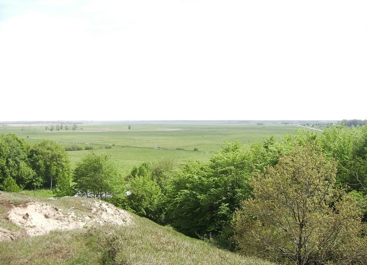 Photo showing: Blick vom höchsten Punkt Stapelholms in die Niederung